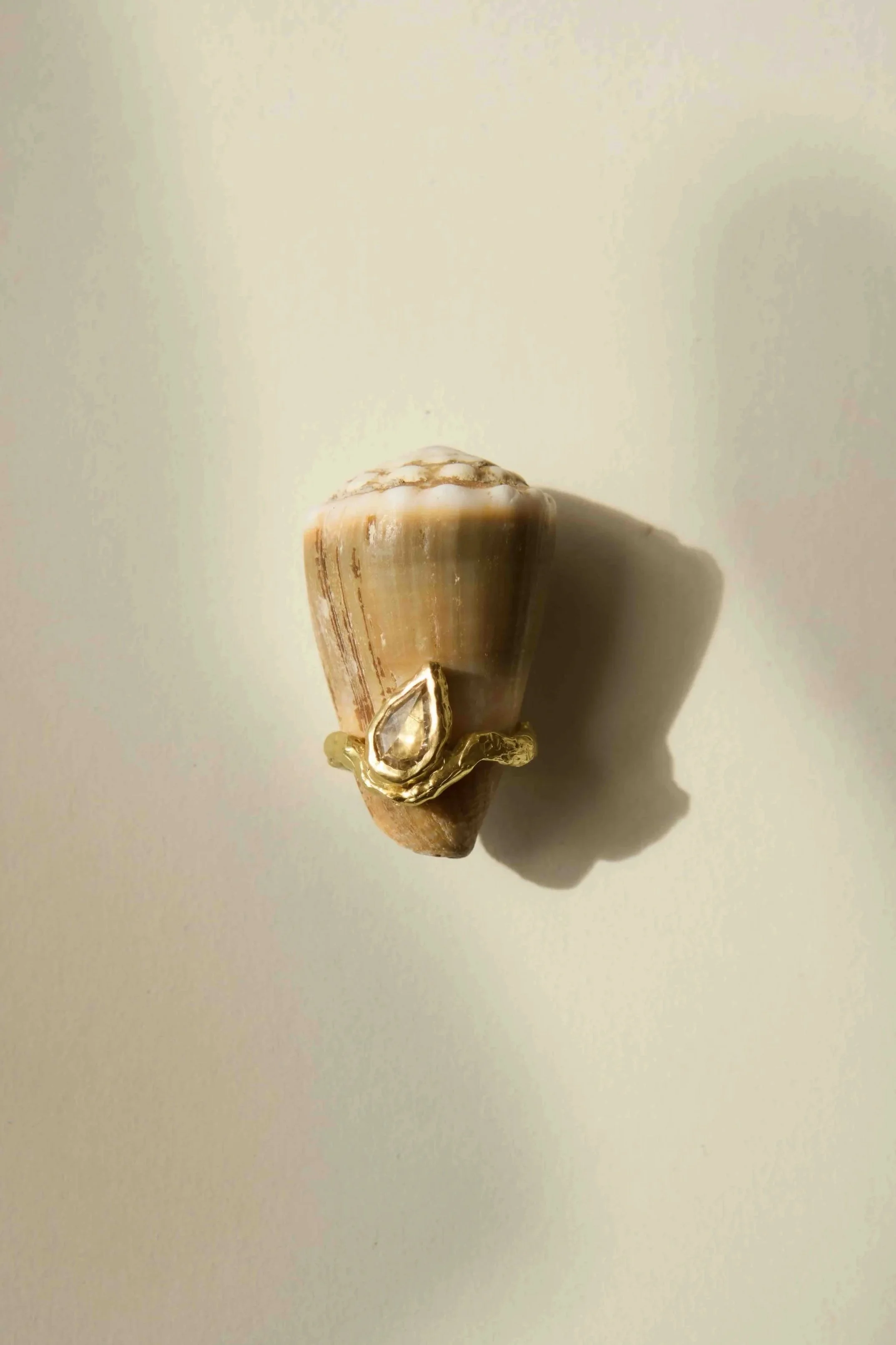 Brown+Aurora+Ring+-+Line+Rossau.jpg