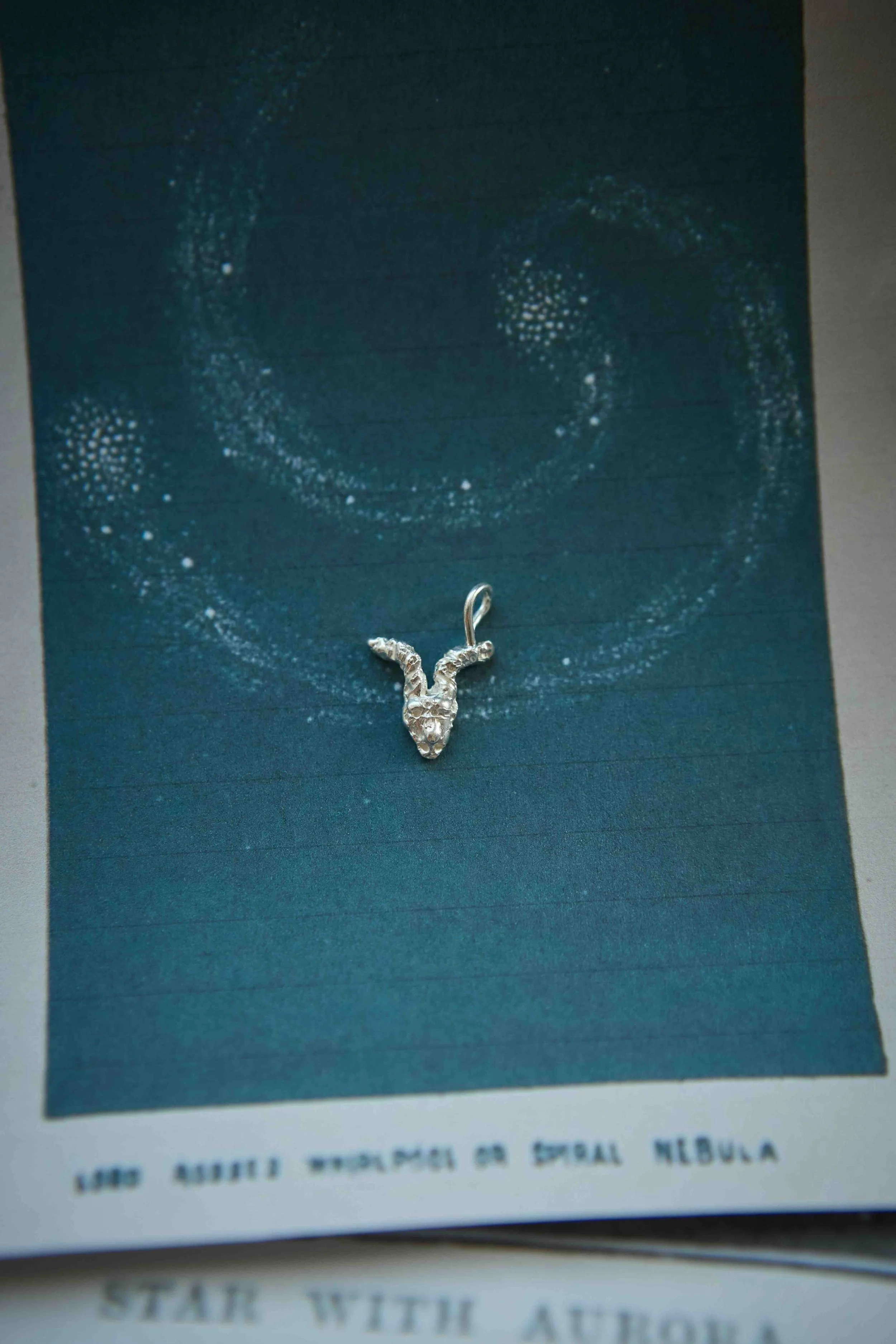 stenbuk - Stjernetegn sølv - Line Rossau.jpeg