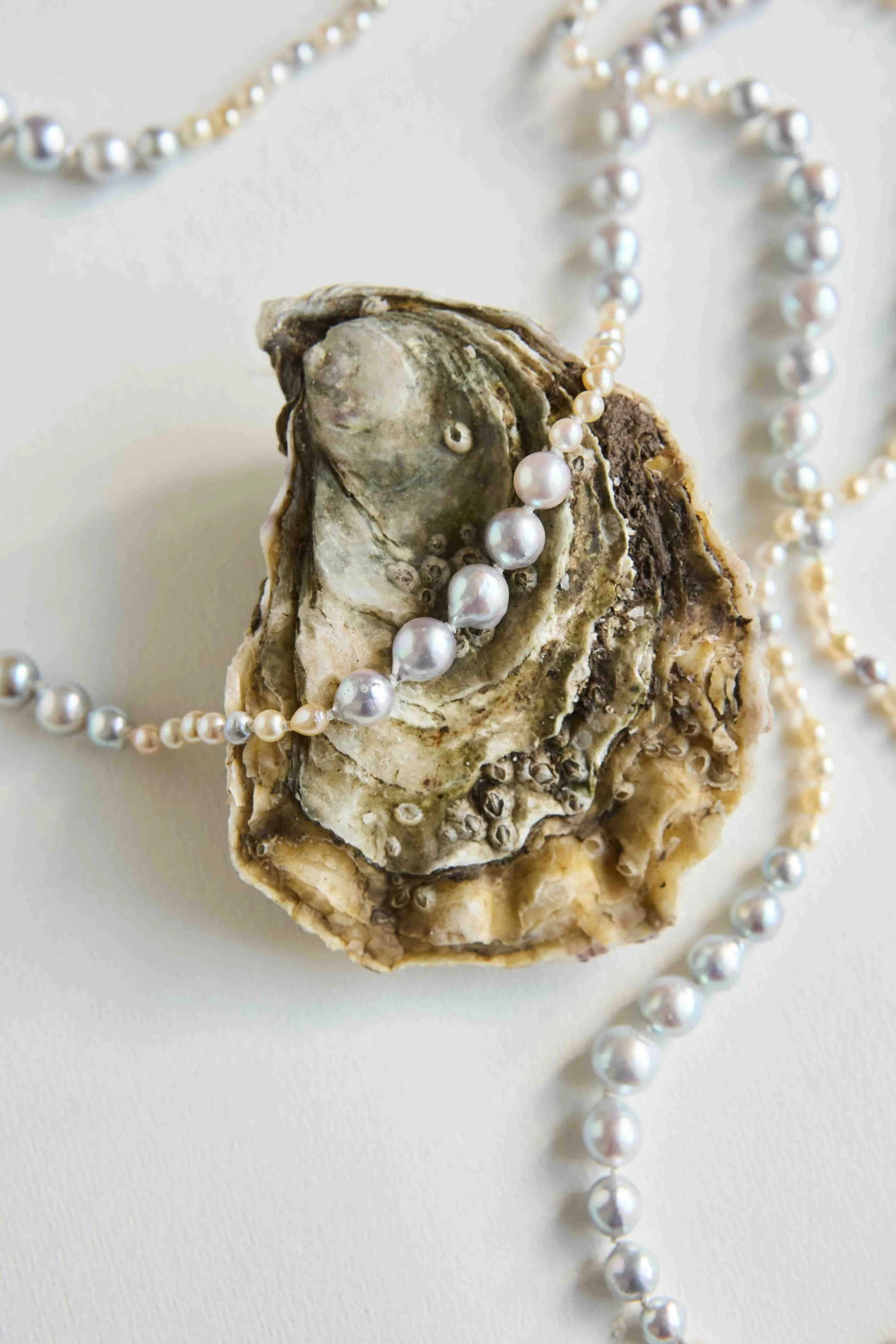 Becca Pearl Necklace LR.jpg
