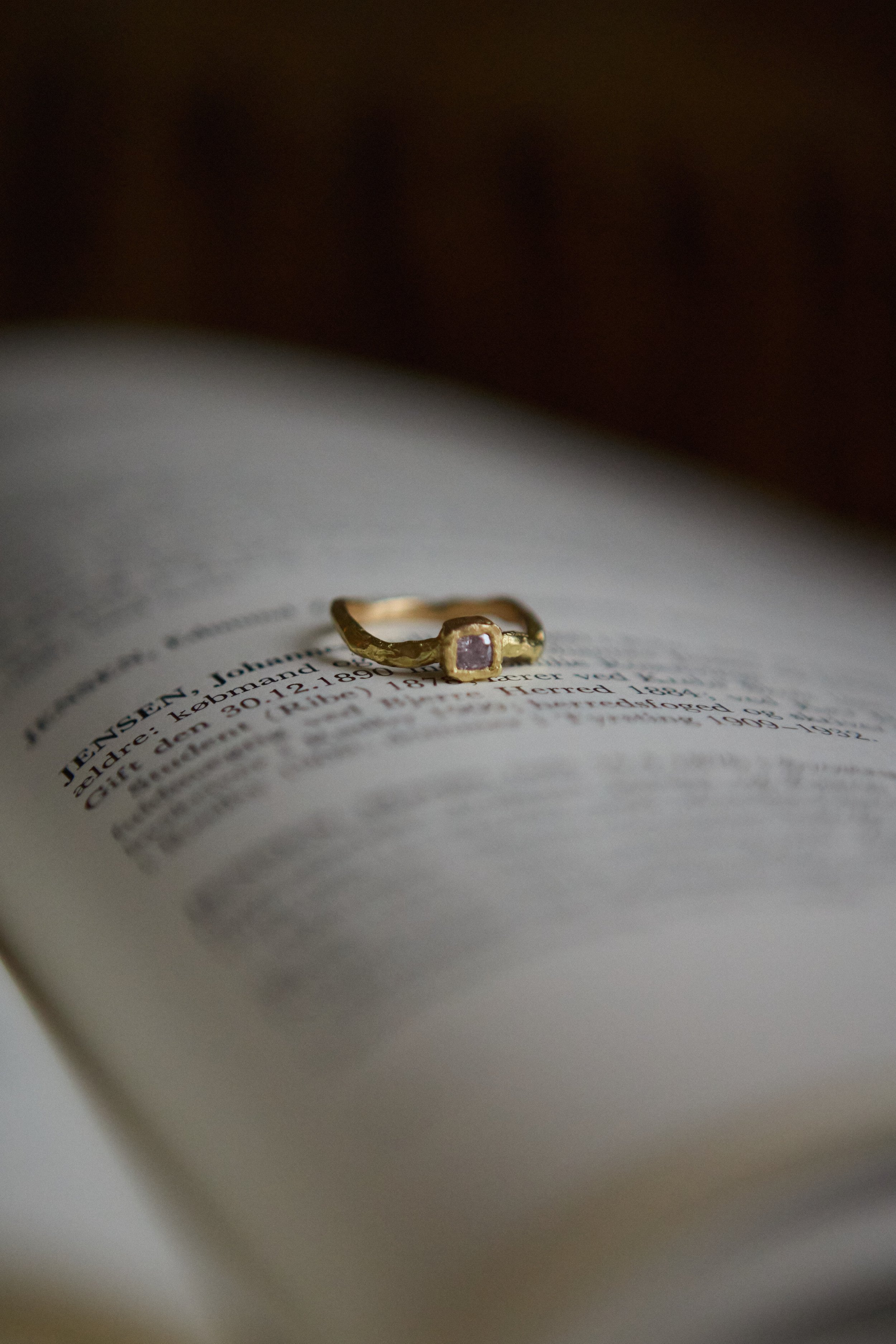 2025_11_21_rossau 541.jpg