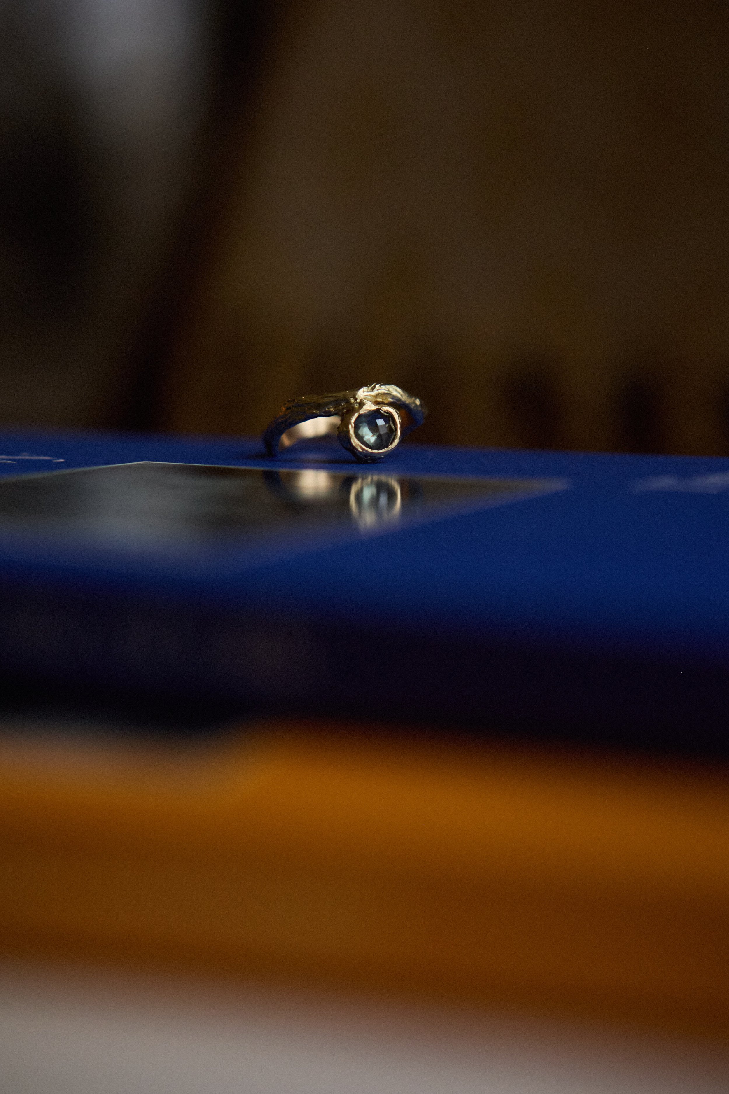 2025_11_21_rossau 551.jpg