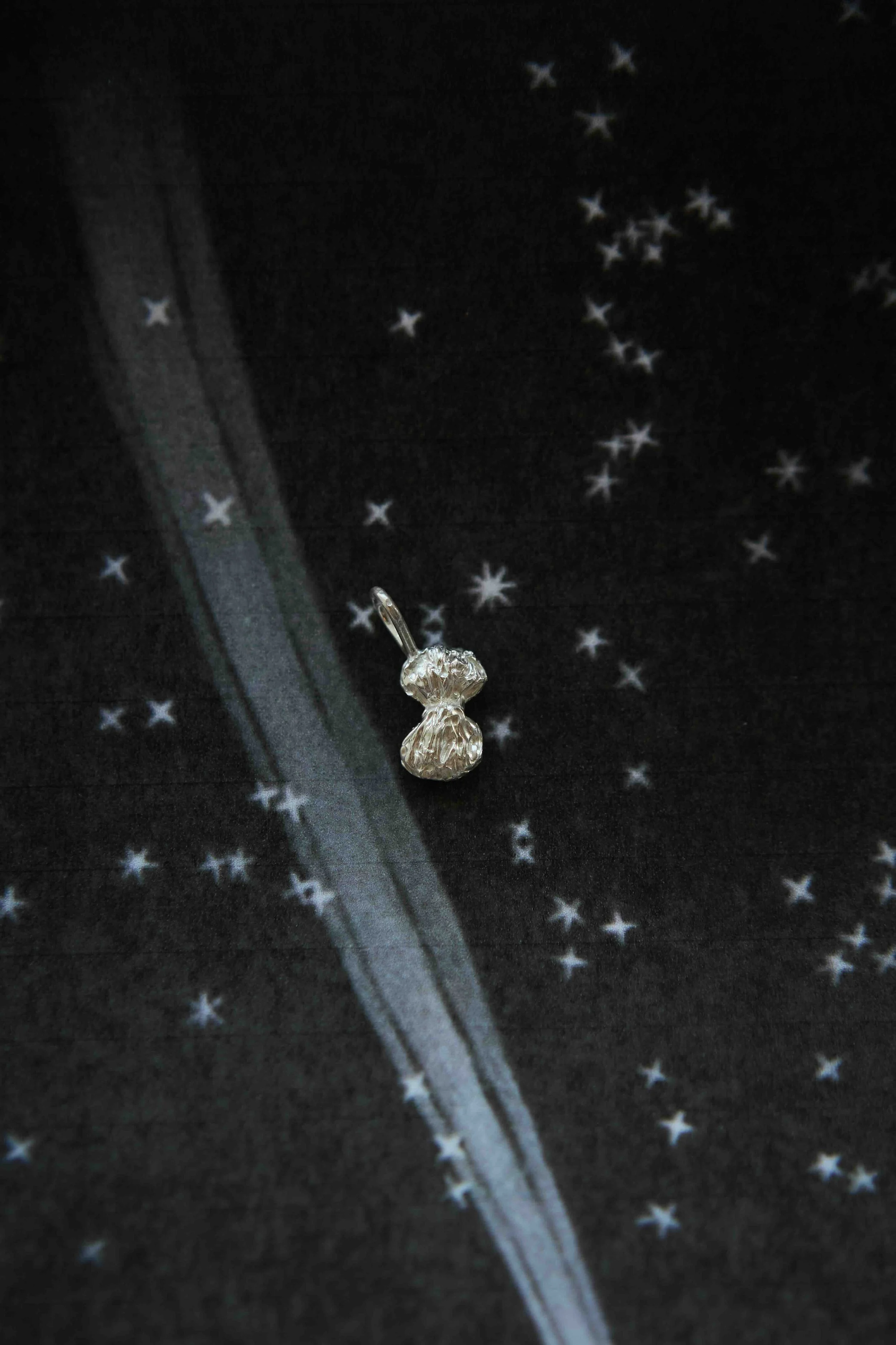 tvilling - Stjernetegn sølv - Line Rossau.jpeg