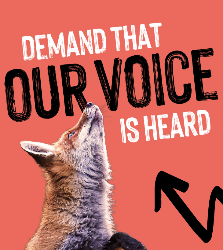 2026: The year to finally end fur farming in Europe