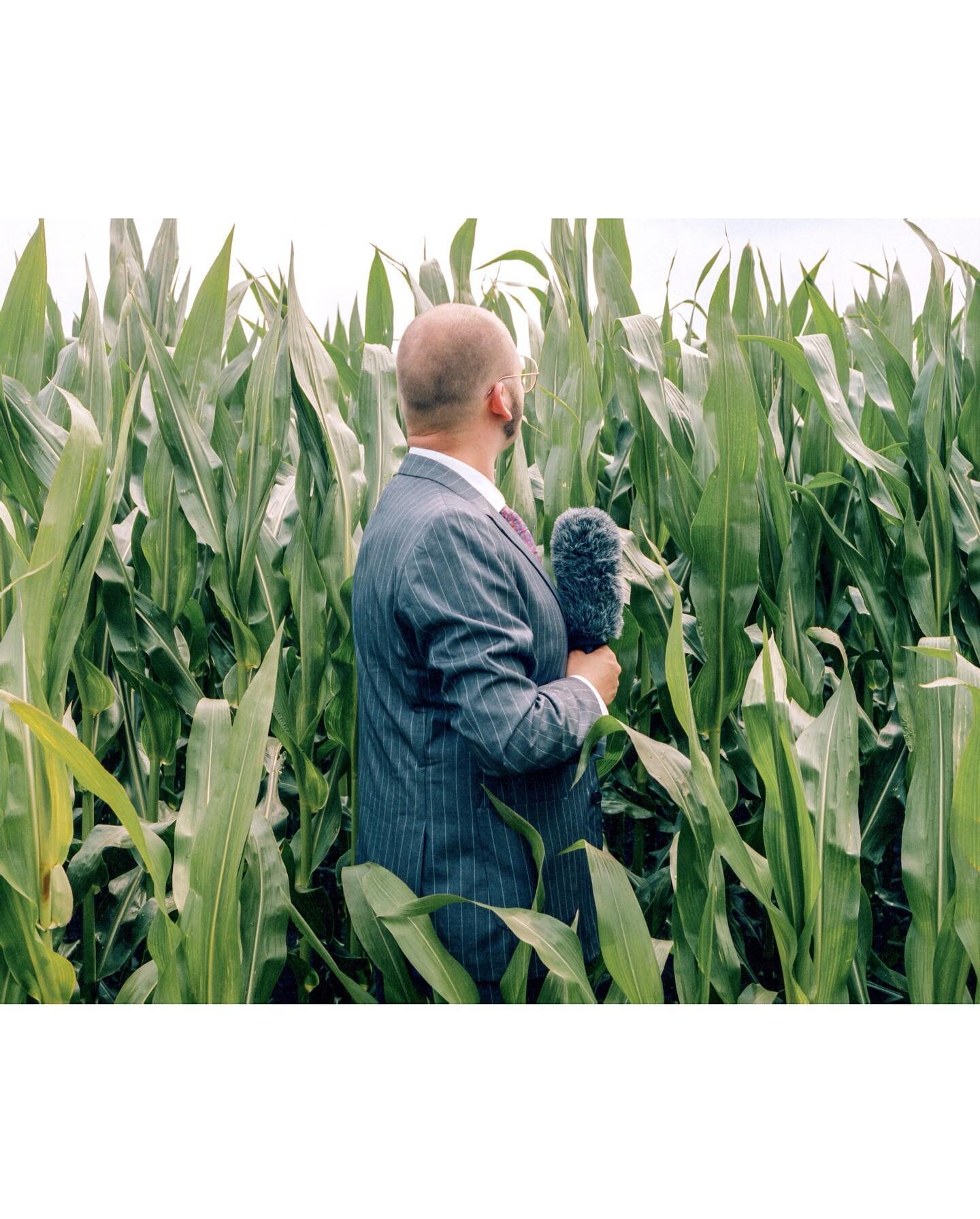 Happy new year!
Make sure to eat your veggies and not look back in 2021 🌽

Outtakes of @wouterhidding at the &lsquo;MEN IN THE WALL&rsquo; video shoot. 

#mamiya645 #kodakportra400 #cornfields #milomusic #photography #musicvideo #newsreporter #field