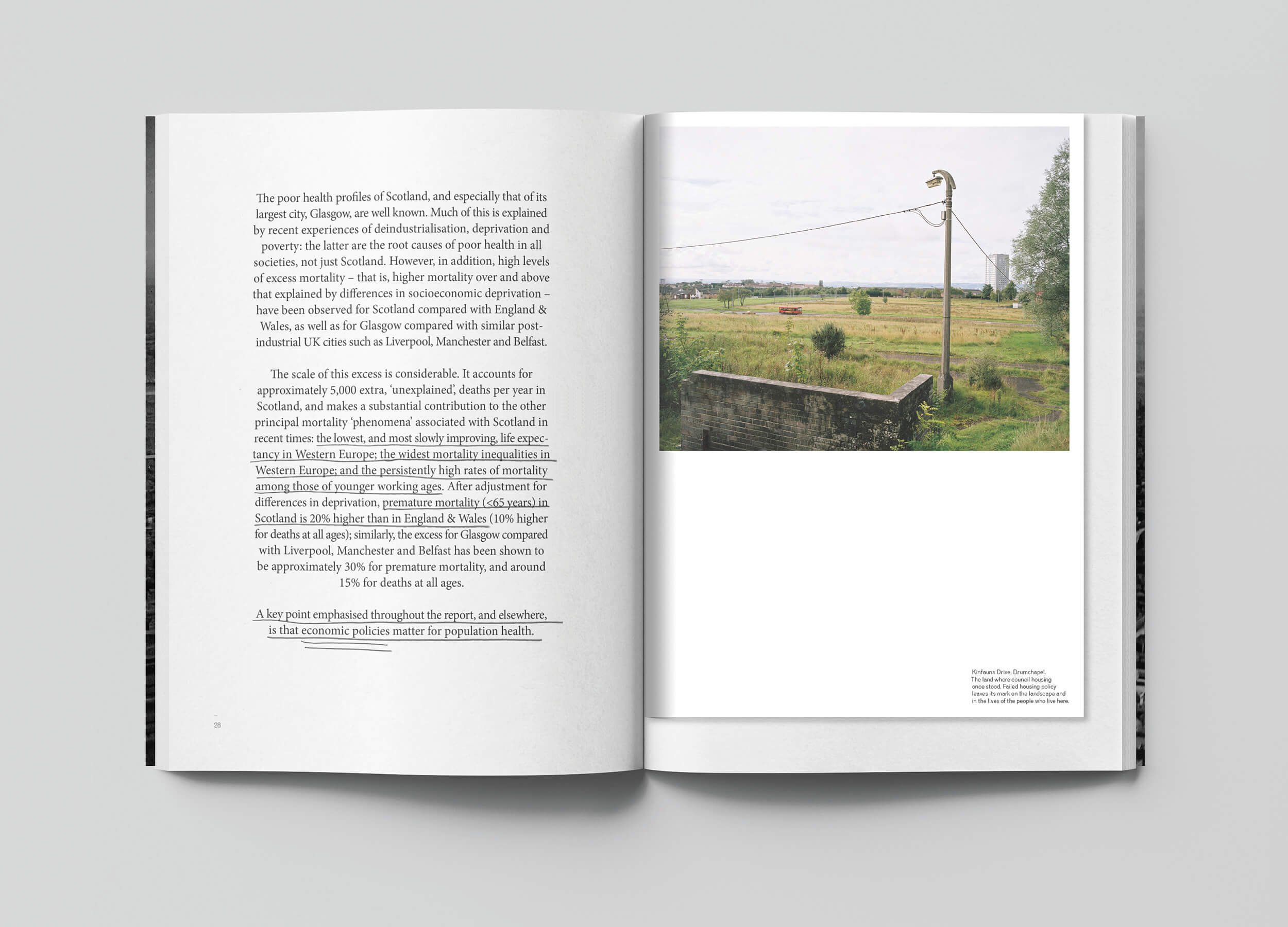 The Fish That Never Swam Book