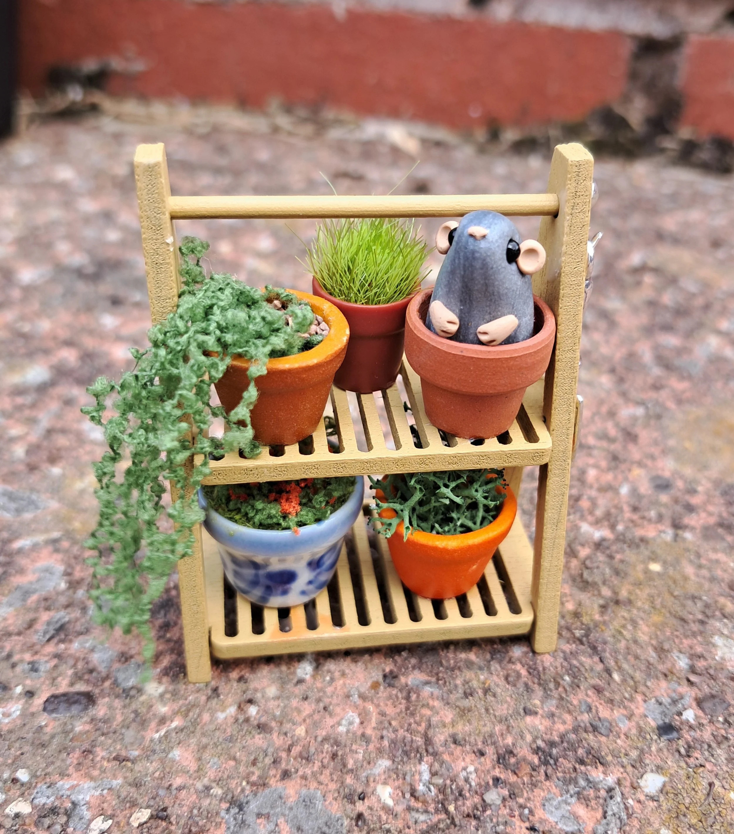 House Plant Stand