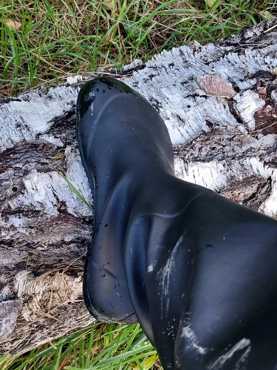 Mina nya barfota st&ouml;vlar fr&aring;n @vaistoaofficial k&auml;nns mycket bra f&ouml;r mina f&ouml;tter. Tog en l&aring;ng promenad i den v&aring;ta skogen ig&aring;r och testade dem &ouml;ver stock och sten.

De &auml;r l&auml;tta, har bra grepp o