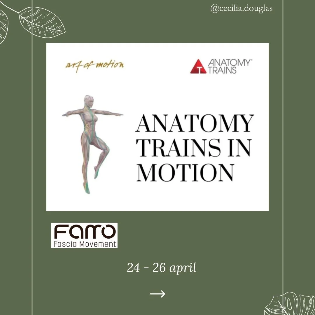 R&ouml;relsel&auml;rare och Manuella terapeuter &auml;r du redo att transformera ditt f&ouml;rh&aring;llningss&auml;tt till r&ouml;relse och terapi?

Att f&ouml;rst&aring; m&auml;nniskokroppen och r&ouml;relsen p&aring; ett mer holistiskt s&auml;tt?
