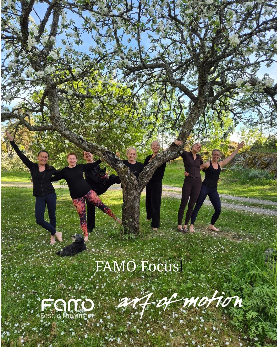 Det var ett fantastiskt g&auml;ng nyfikna Pilates och Yoga instrukt&ouml;rer som var med p&aring; 3 dagarskursen  FAMO Focus i helgen.

Vi utforskade fascians v&auml;rld i fr&aring;ga om hur den fungerar och vad den senaste vetenskapliga forskningen 
