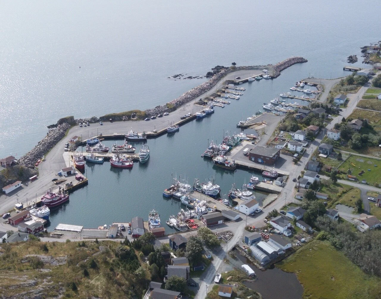 Harbours & Coves — Port de Grave Peninsula