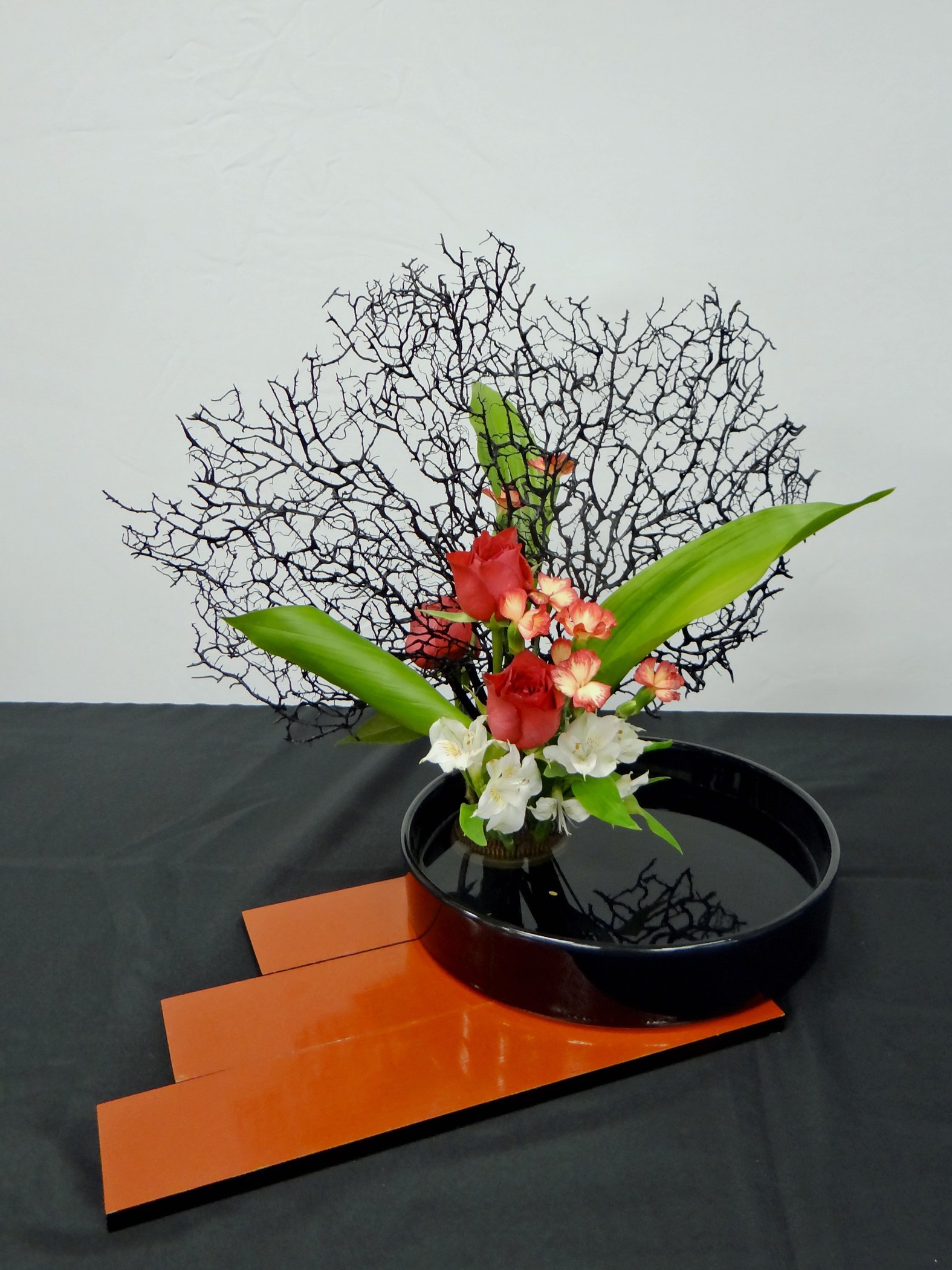 DSC04843-1.jpg