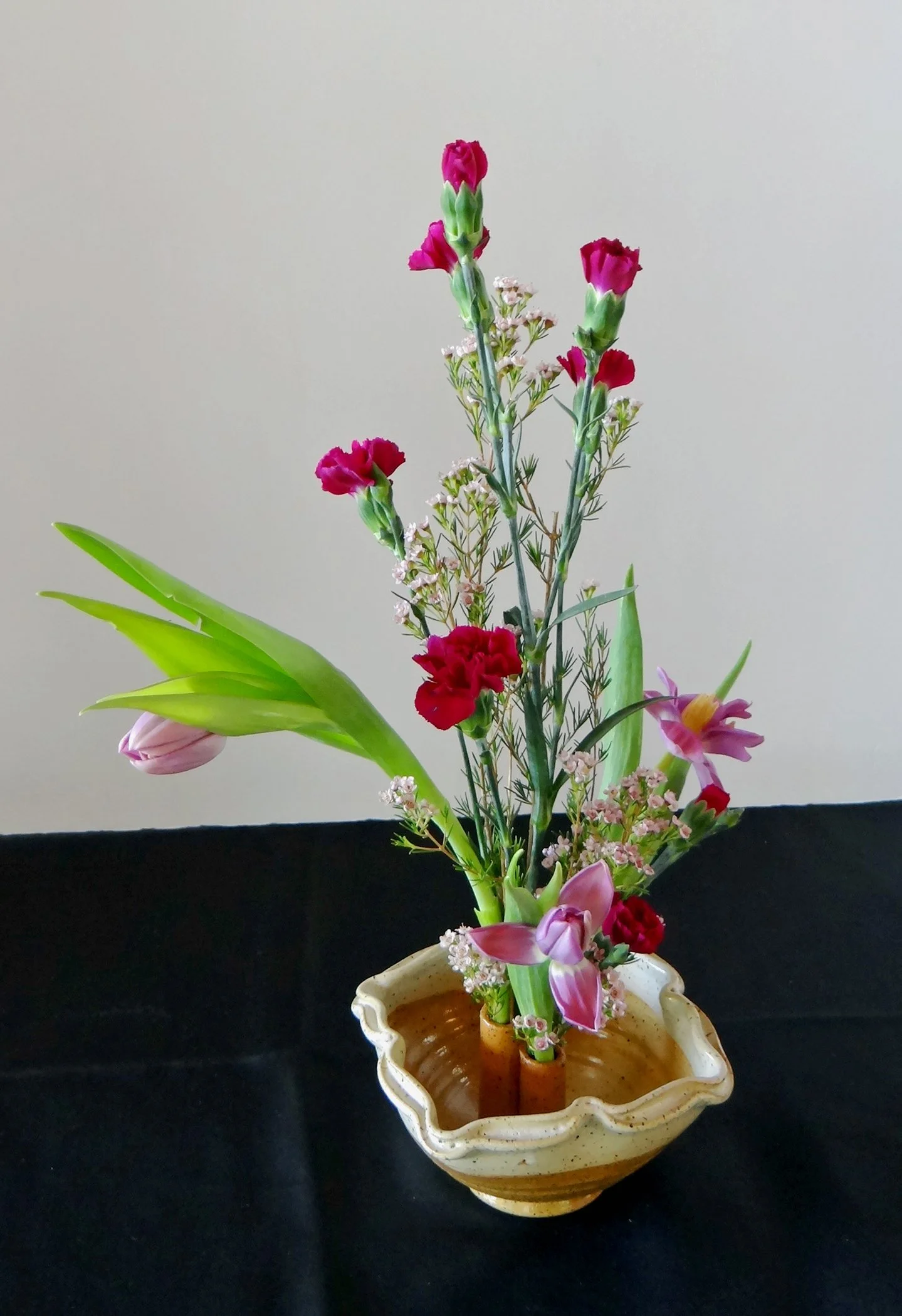 DSC00504-1.jpg
