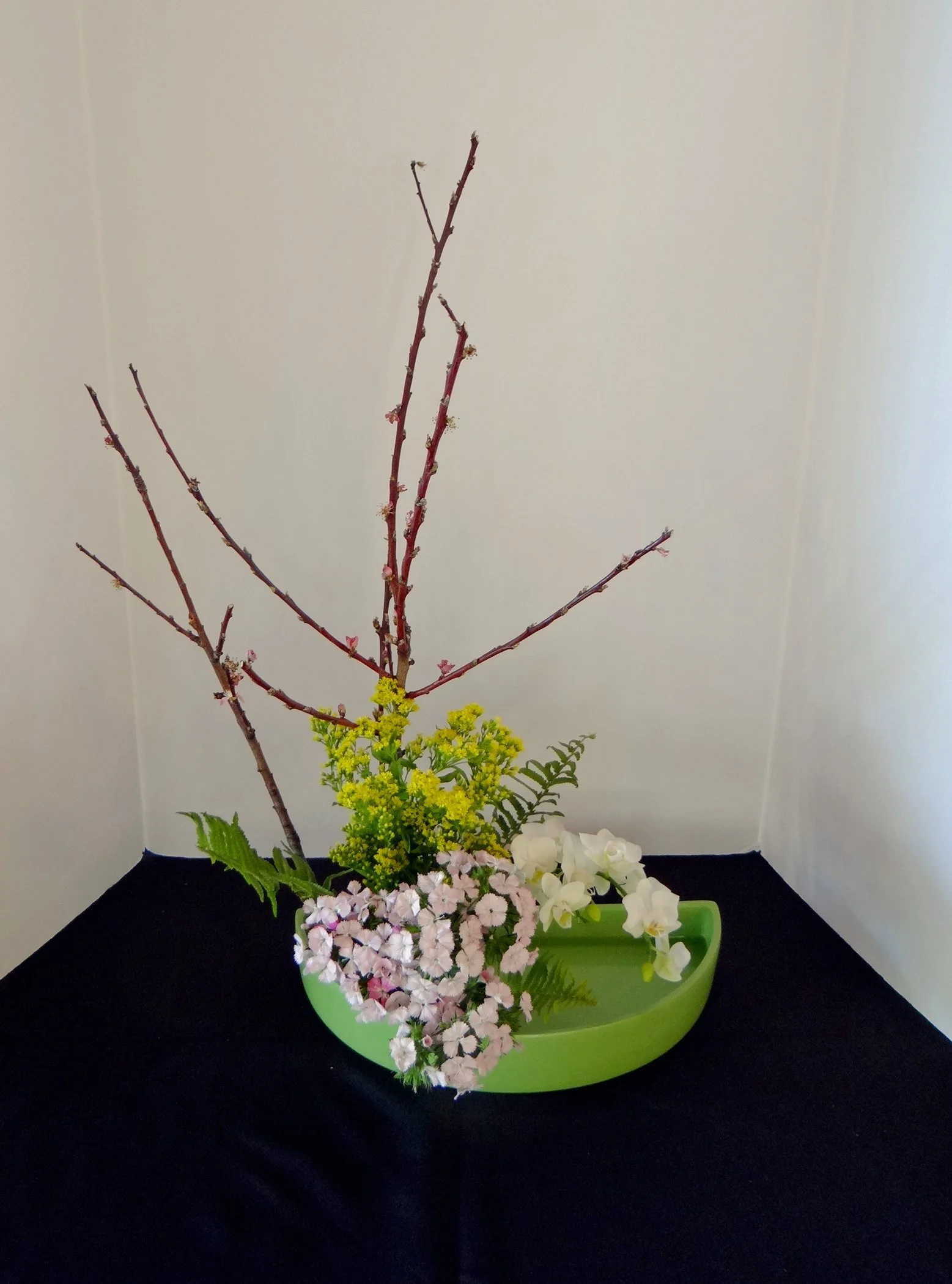 DSC00494-1.jpg