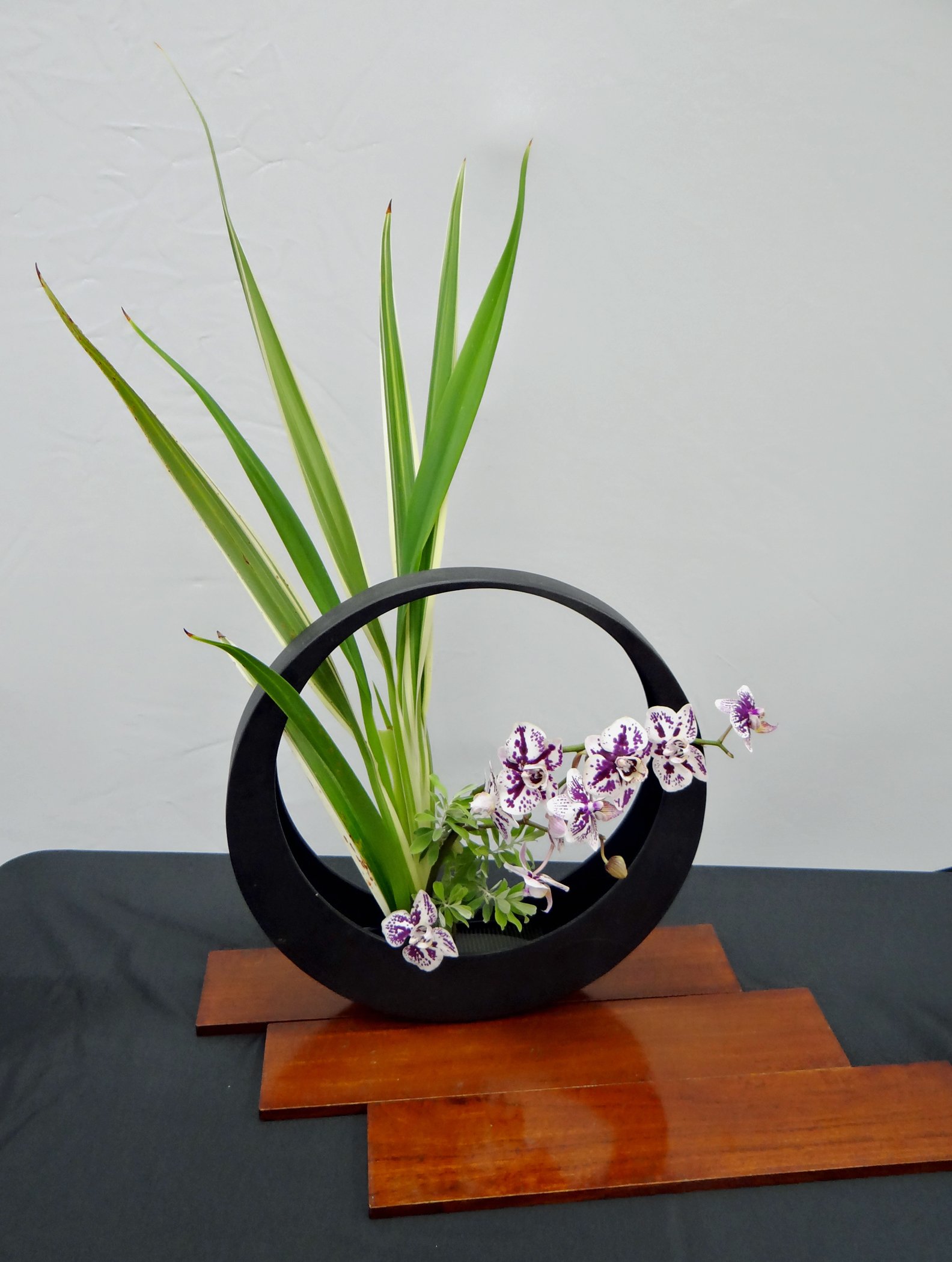 DSC04824-1.jpg
