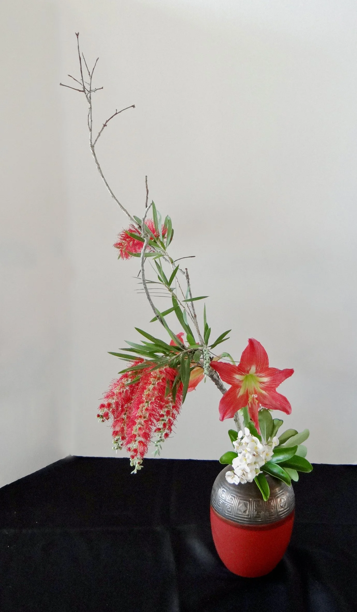 DSC00503-1.jpg