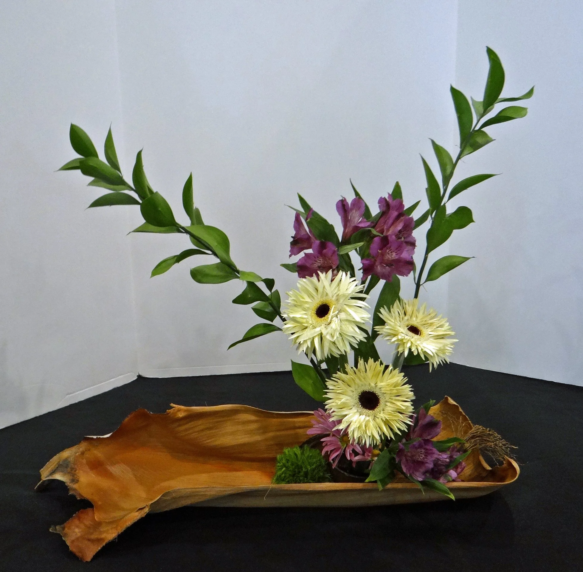 DSC00159-1.jpg