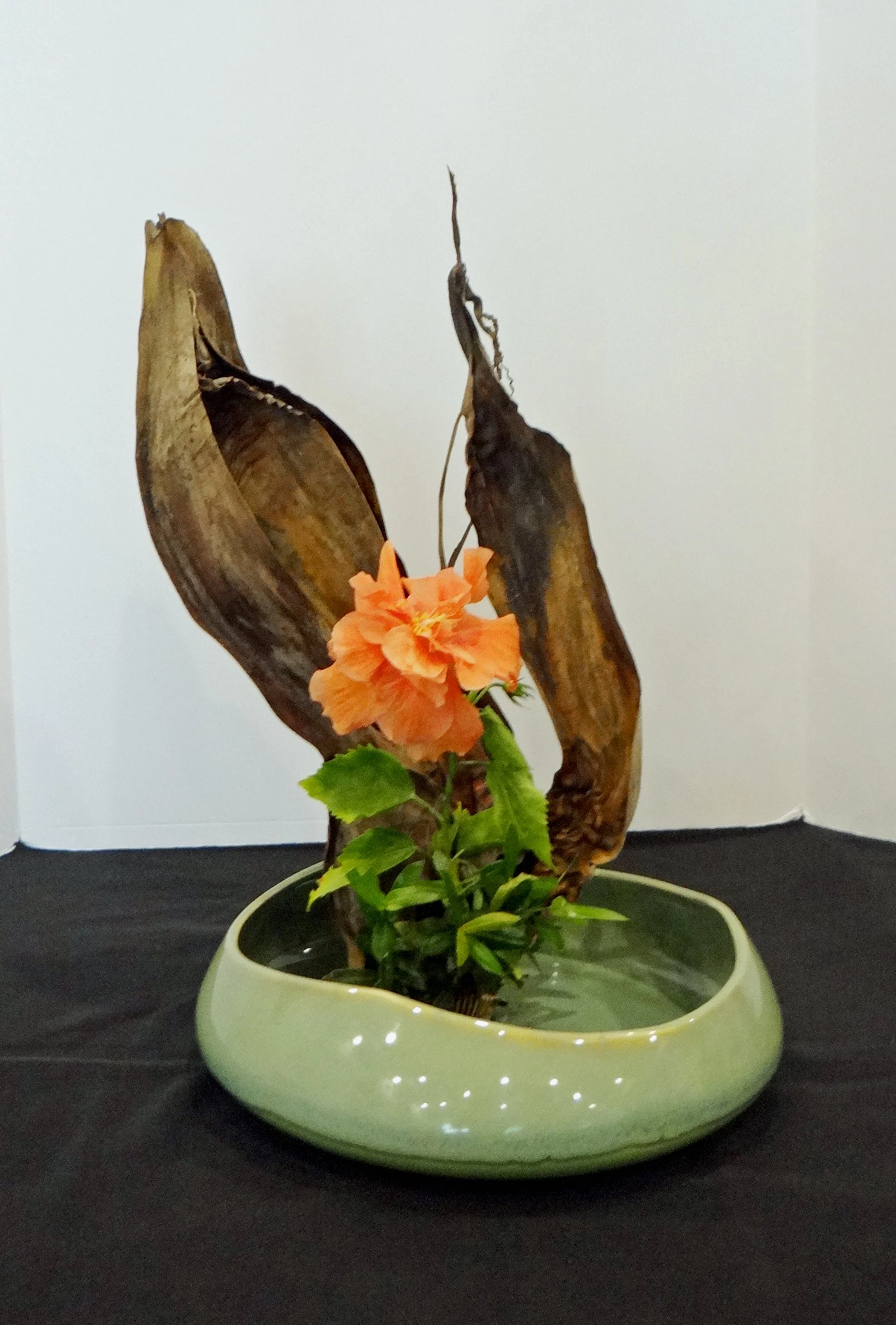 DSC00157-1.jpg