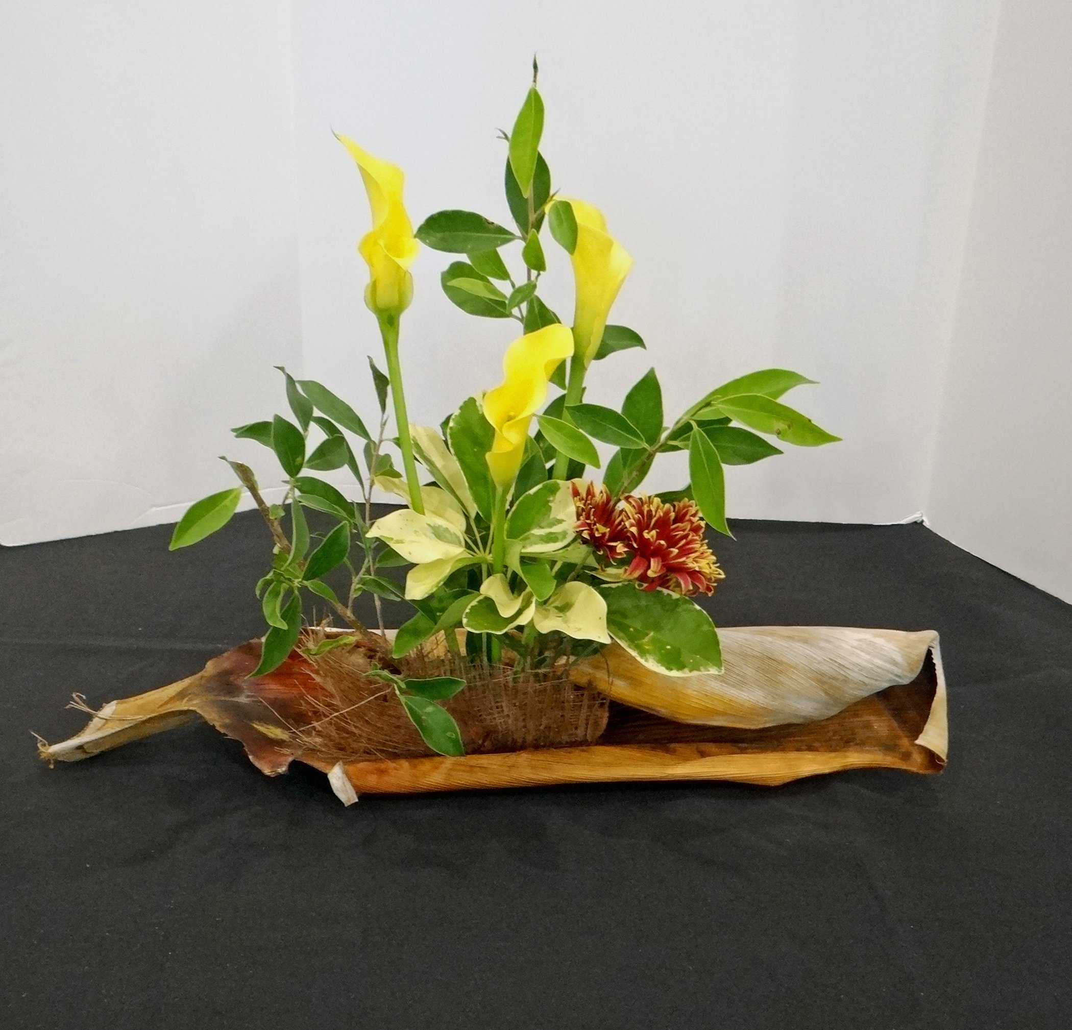 DSC00163-1.jpg