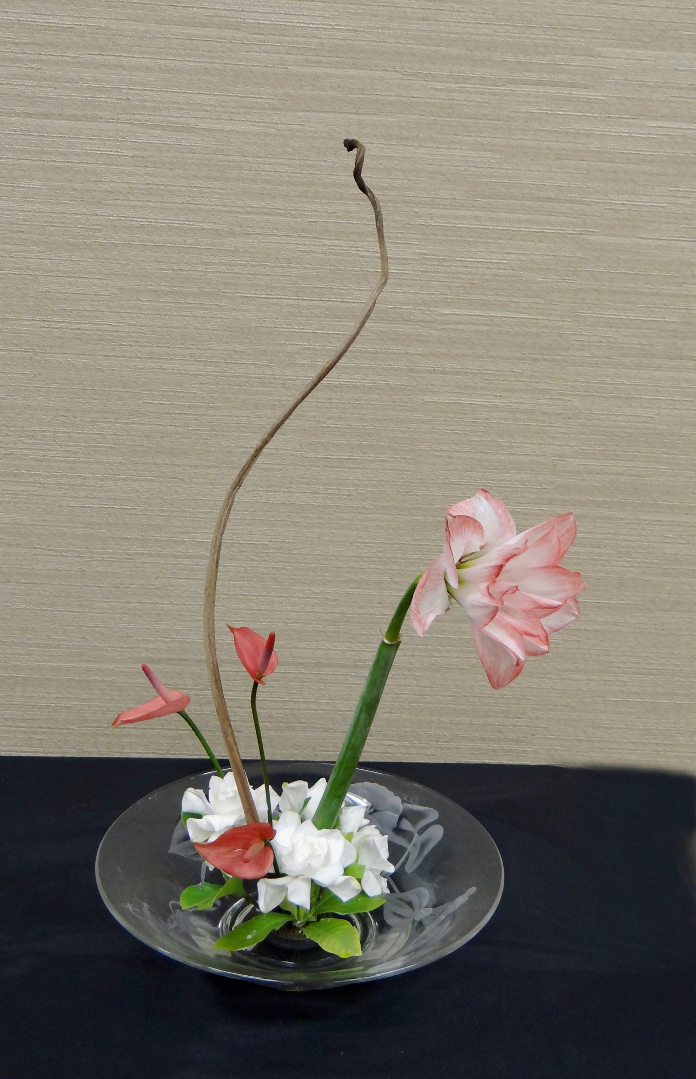 DSC04792-1.jpg