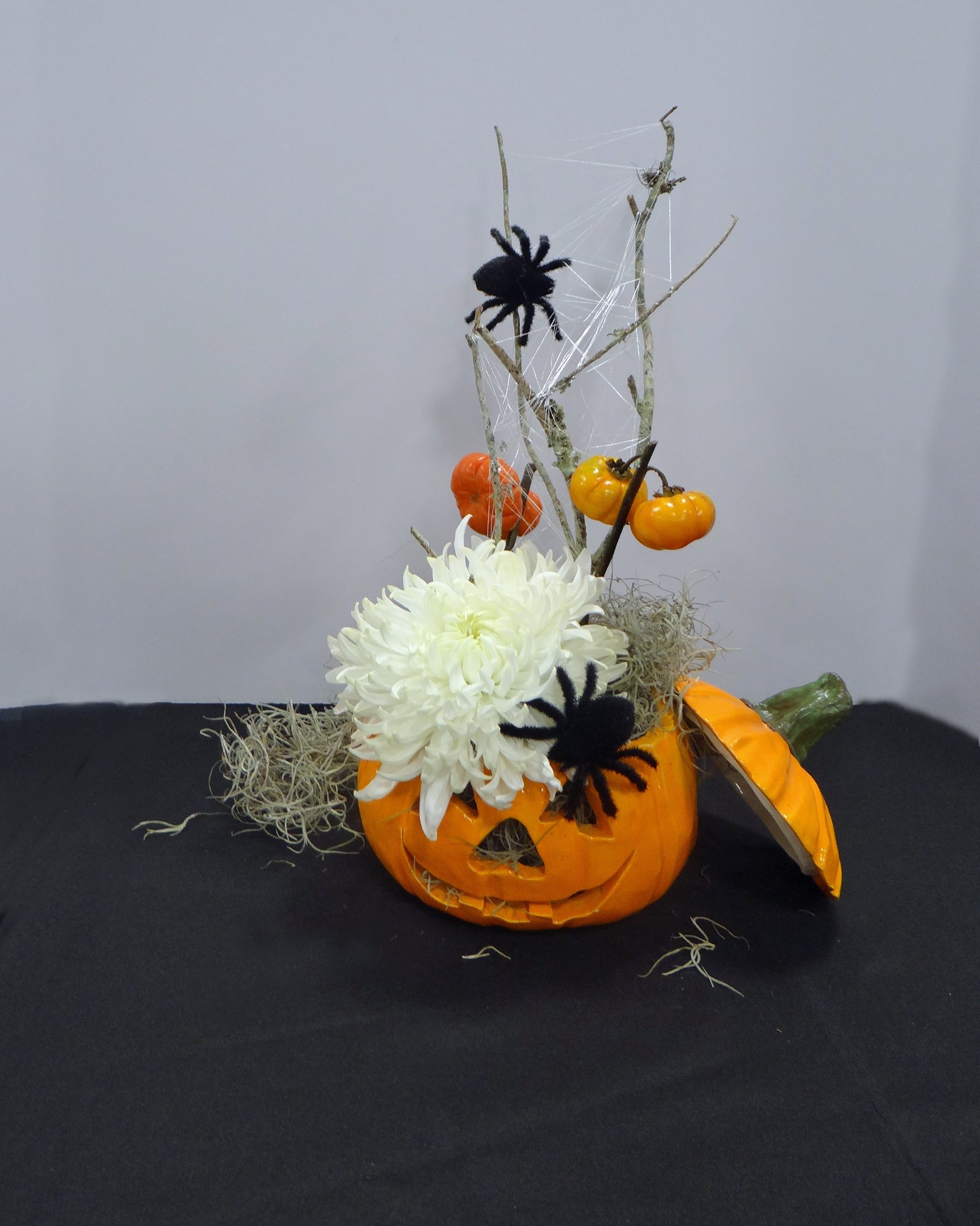 DSC04215-1.jpg