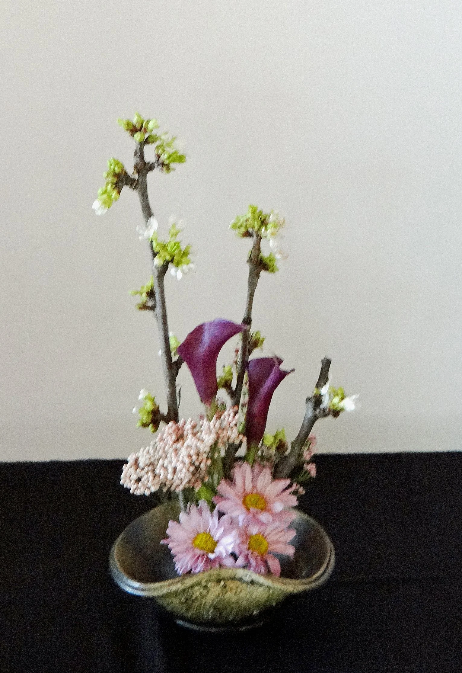 DSC00511-1.jpg