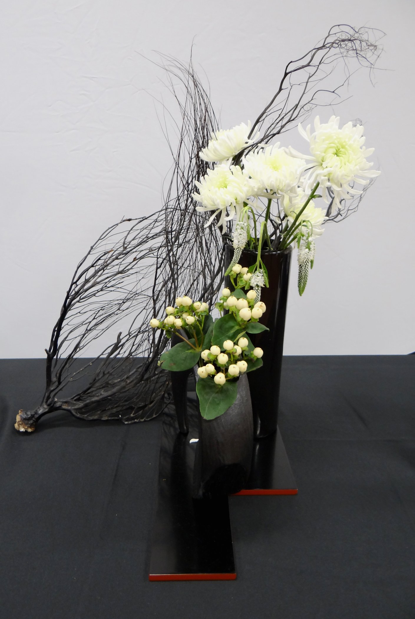 DSC04827-1.jpg