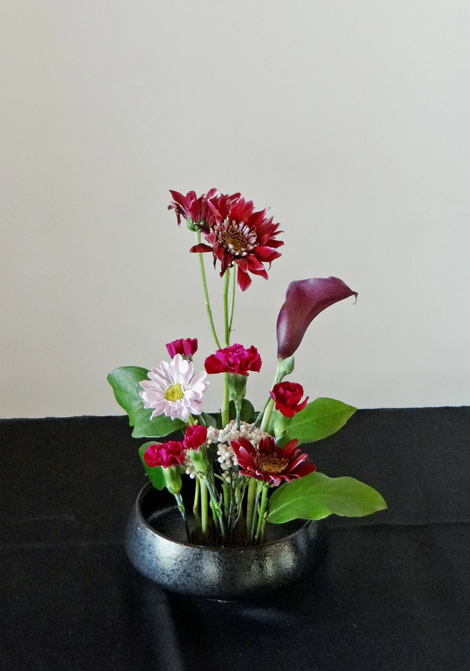 DSC00508-1.jpg