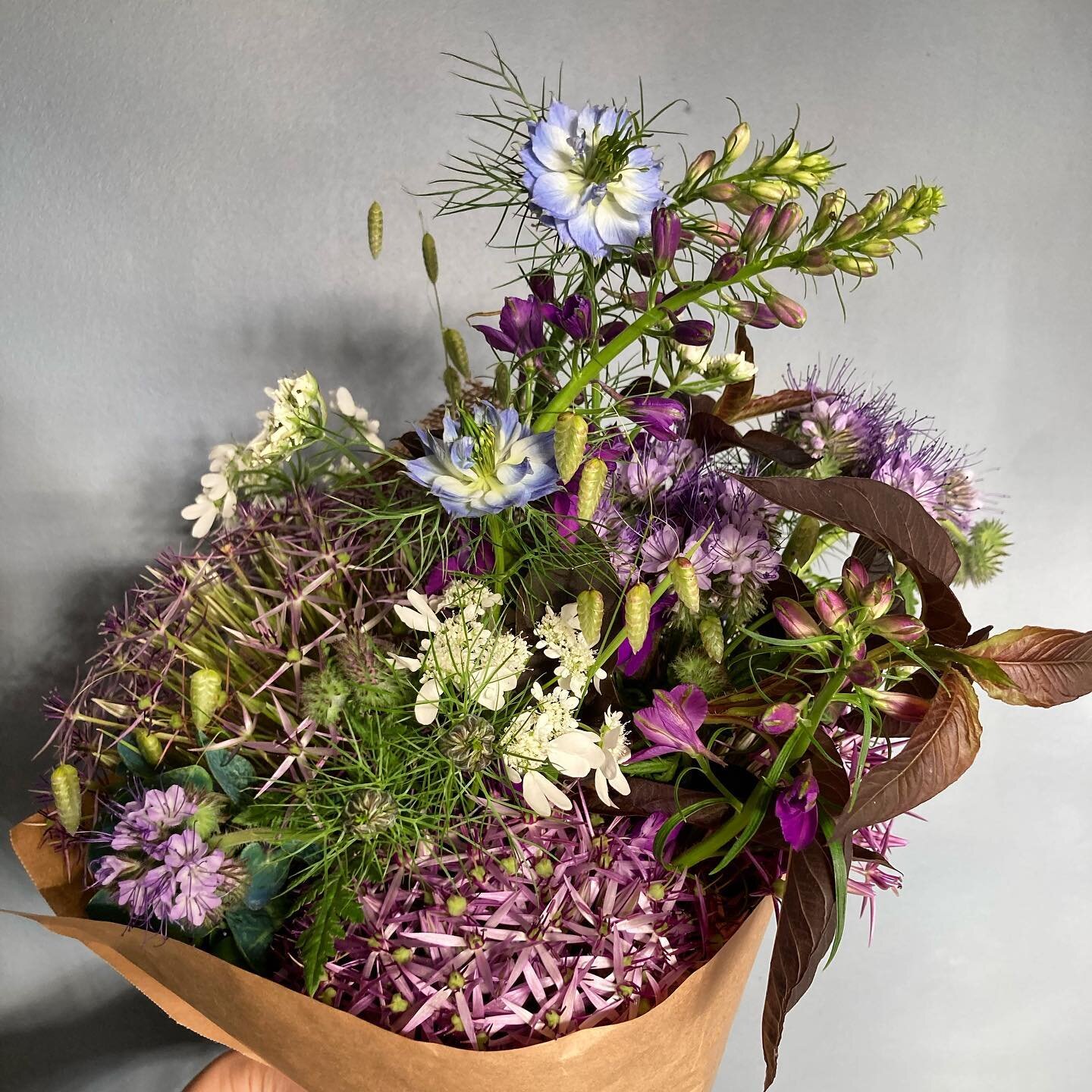 Fancy celebrating #brisishflowersweek with some locally grown and lovingly arranged Friday Flowers? ⁣
⁣
Posys (&pound;15) and bouquets (&pound;25, &pound;35,or Luxe &pound;45) available to order today for Friday or Saturday #Stalbans local delivery.⁣