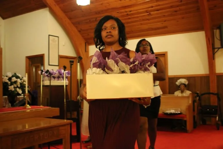 IMG_2415-3-768x512.jpg