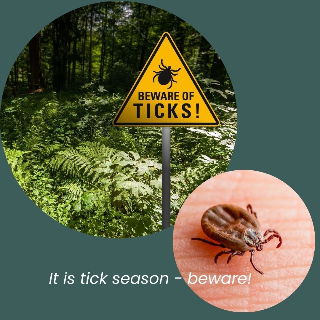 Protecting yourself from ticks involves understanding their preferred habitats and conditions, such as tall grass and warm, humid environments. To stay safe, wear protective clothing like long sleeves and pants, use insect repellent containing DEET, 