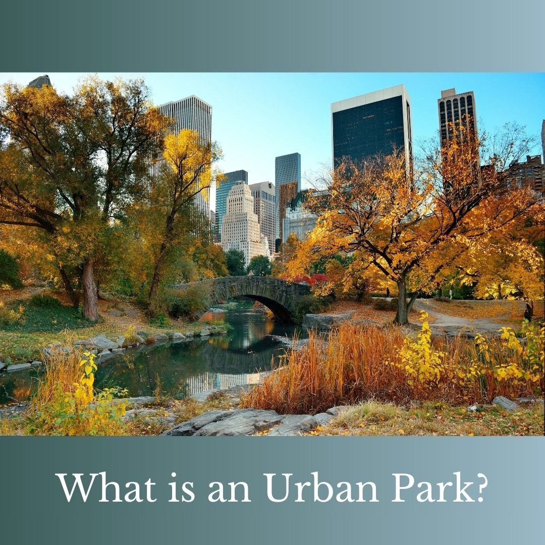 Yes, there are well-known physiological benefits of nature as well. But, as I look out my office window right now, the trees immediately lift my mood.

https://pubmed.ncbi.nlm.nih.gov/12461111/

#nature #johntodor #urbanparks #well-being #stress