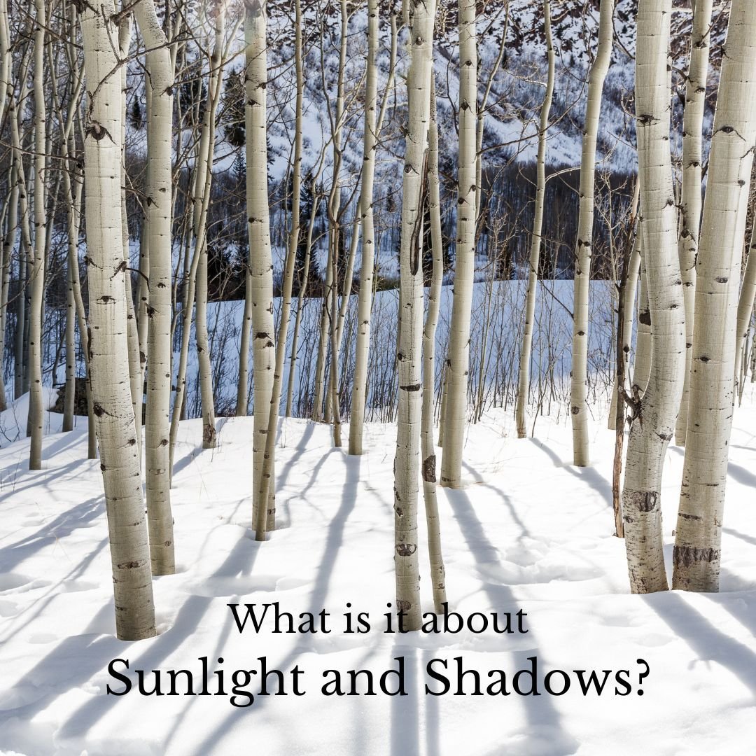 Sunlight and shadows...

... captivate us due to their biological importance, visual appeal, emotional resonance, symbolic meaning, and dynamic nature. Our sensitivity to light, coupled with its ability to create visually stunning scenes, evoke posit