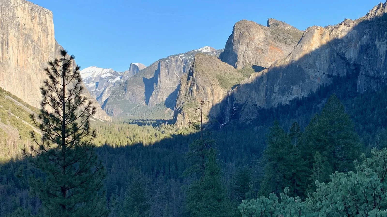 The Resilient Brain: How the Brain Adapts and Thrives in a Changing World