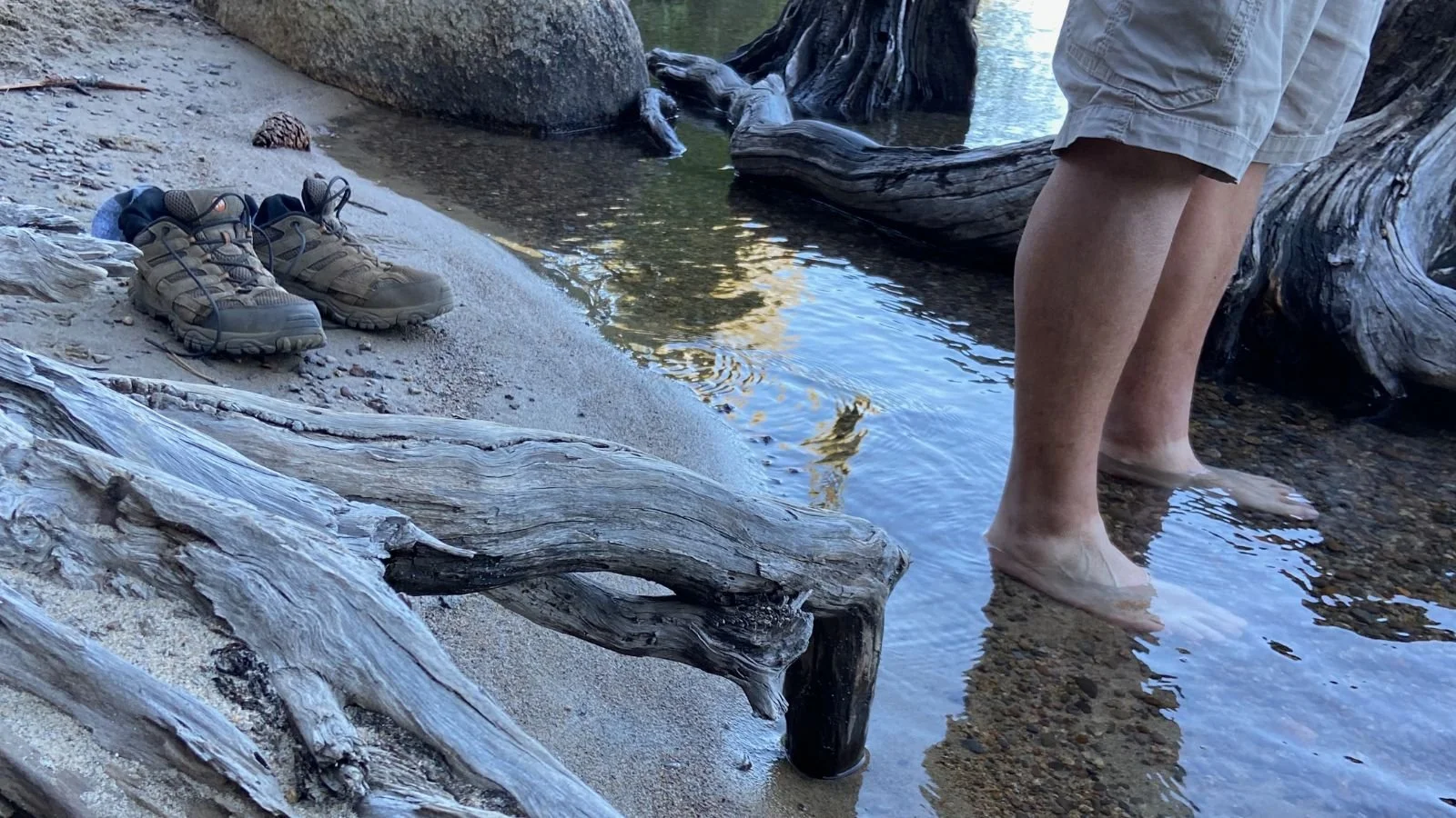 Everyday Ways to Vitality: Small Experiences That Strengthen the Brain