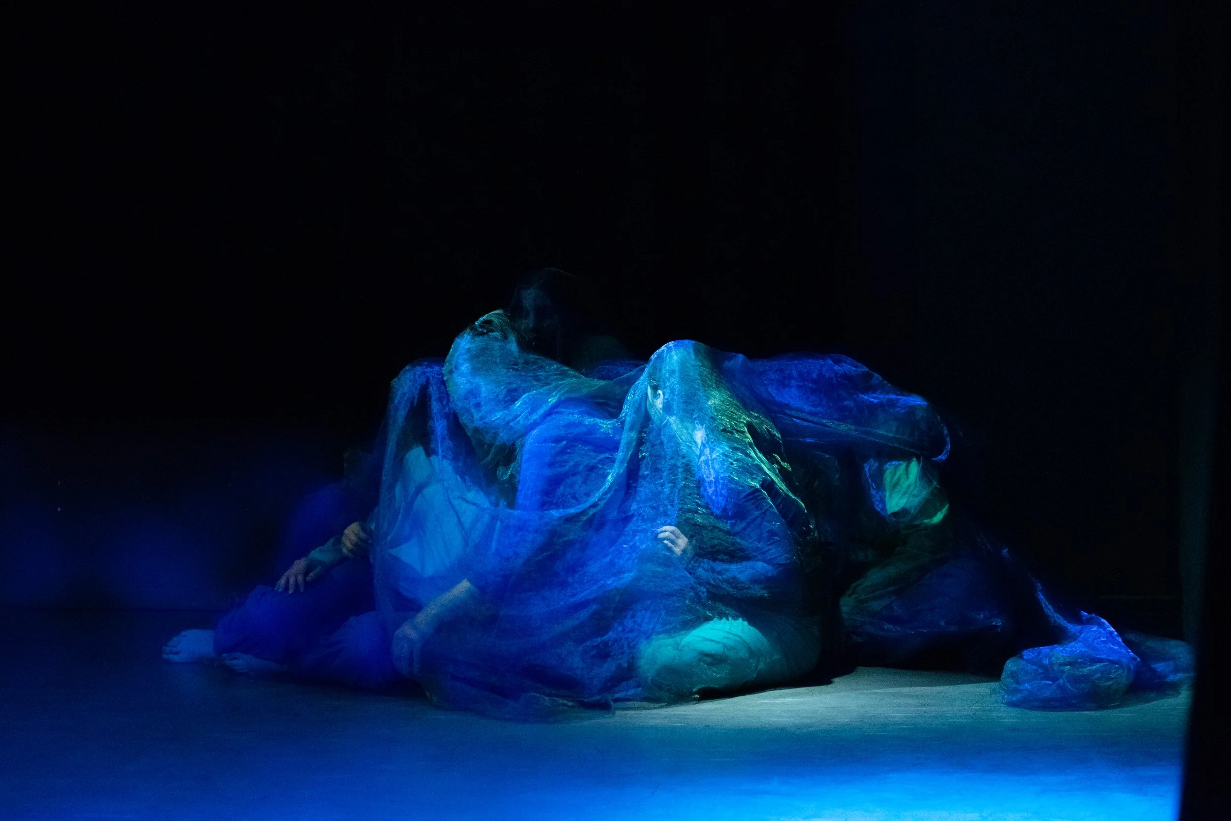 Die Tanzwerkstatt- Natürlich Tanzen wir!