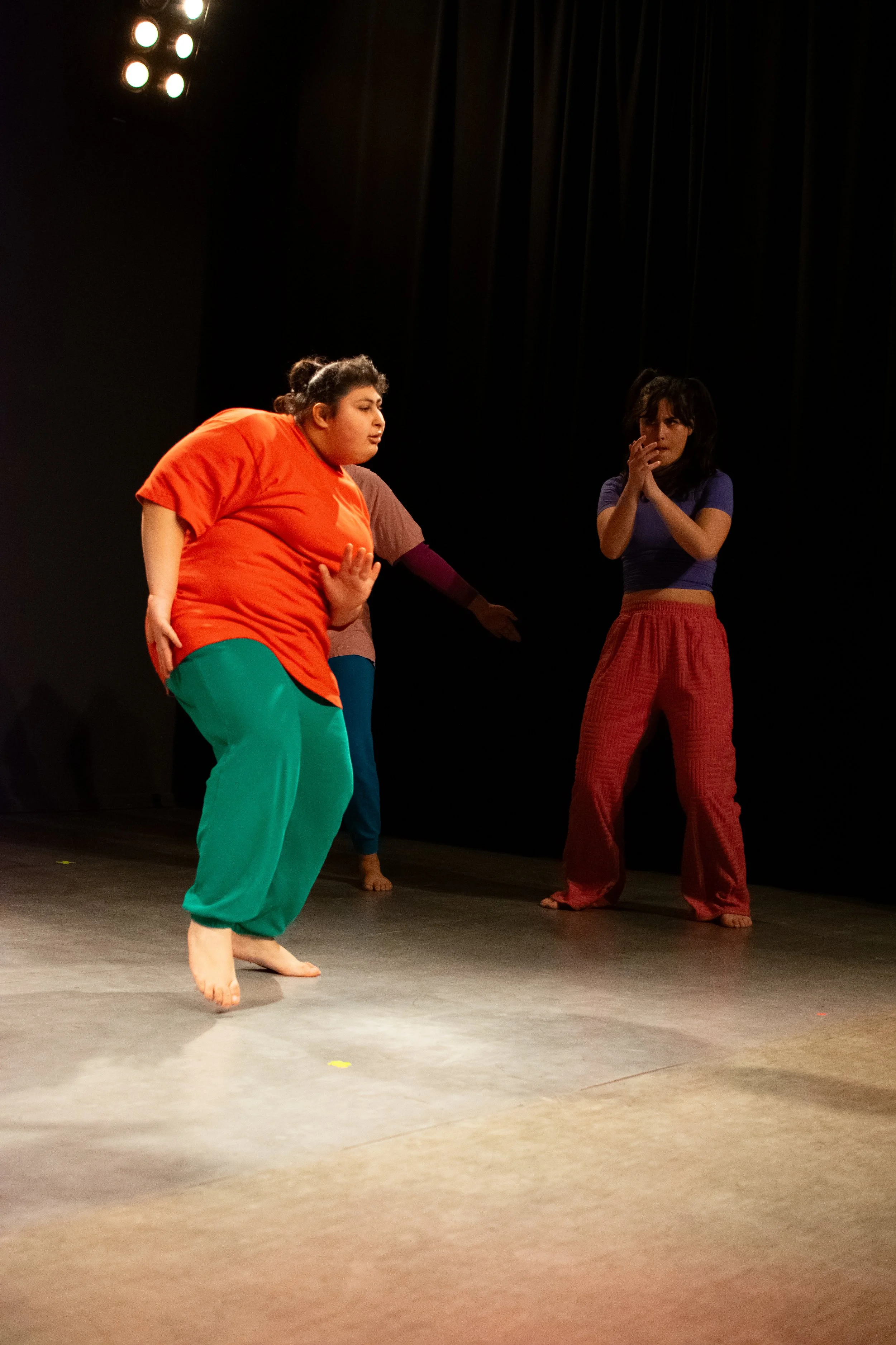 2024Tanzwerstatt_Vorstellung (74 von 87).jpg