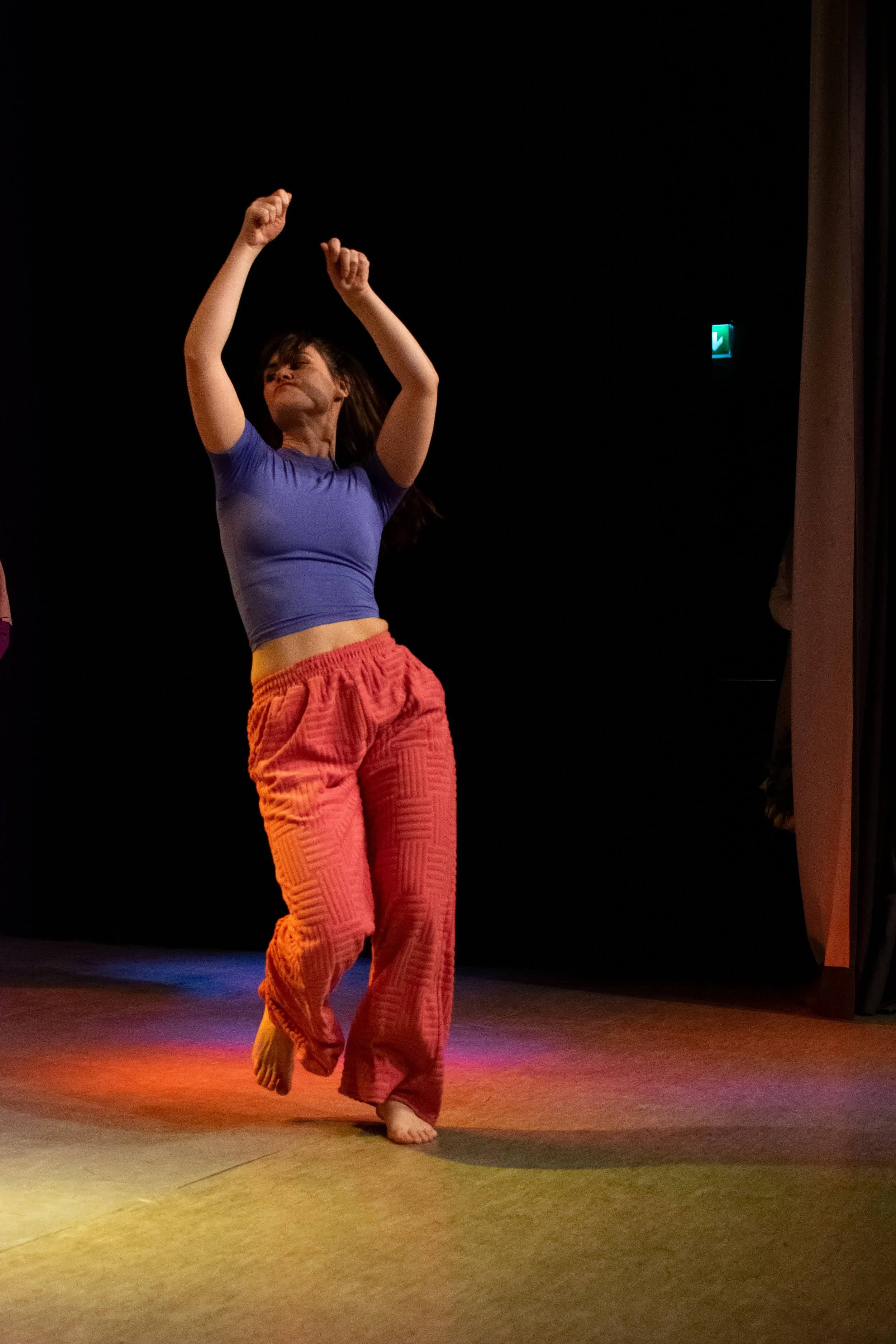 2024Tanzwerstatt_Vorstellung (76 von 87).jpg