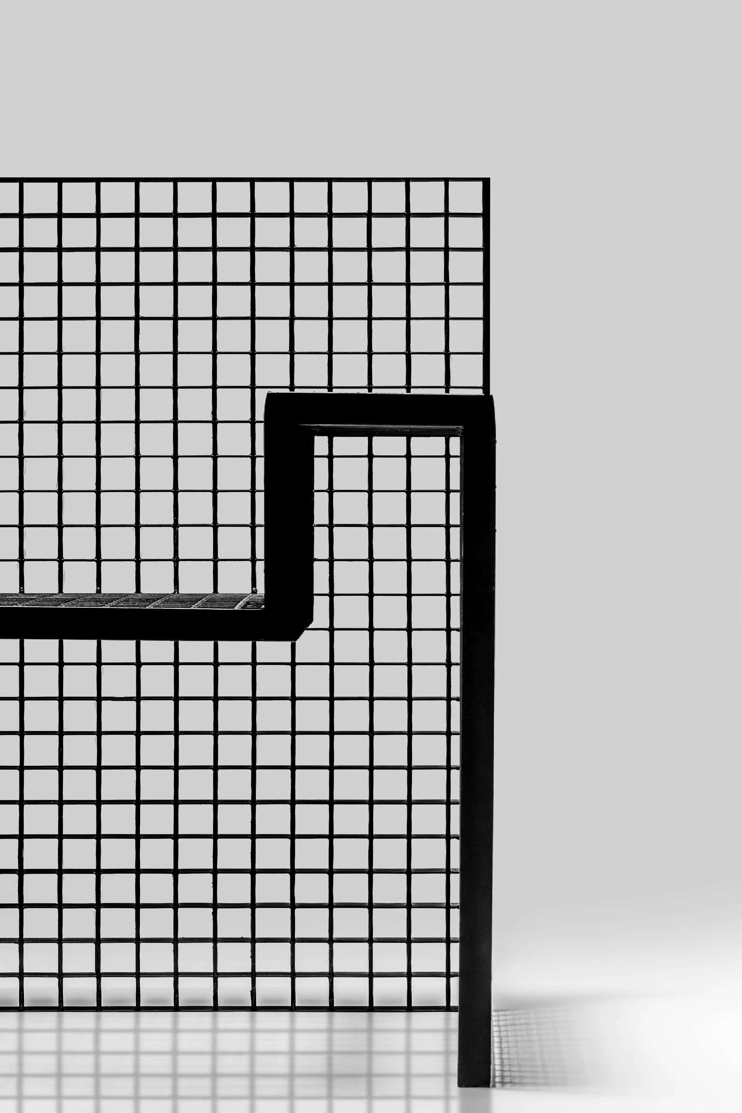 leonardo_condor-210-Editar copia.1.jpg