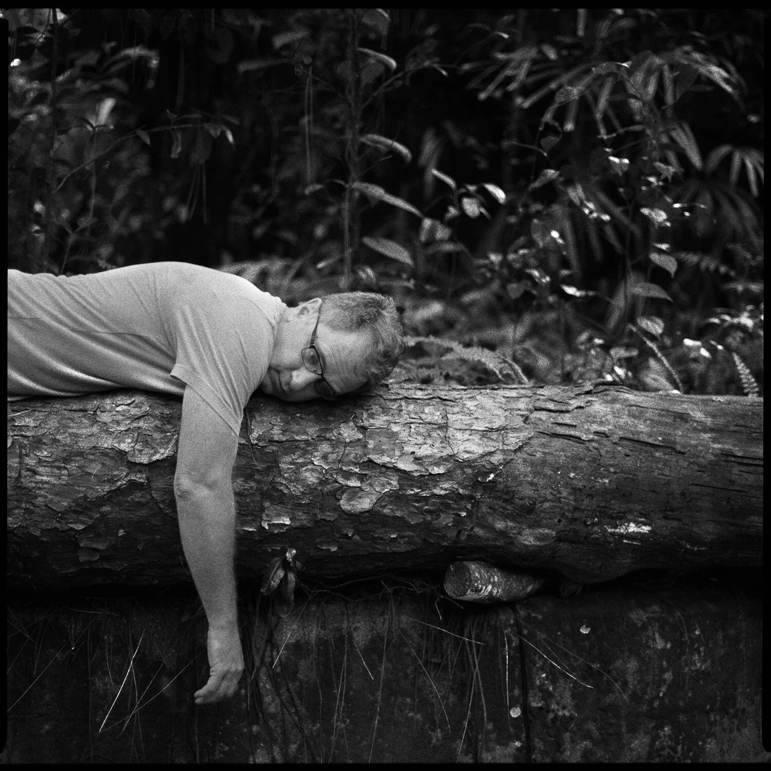 A man with glasses lying face down on a fallen tree in a forest, with dense foliage in the background.