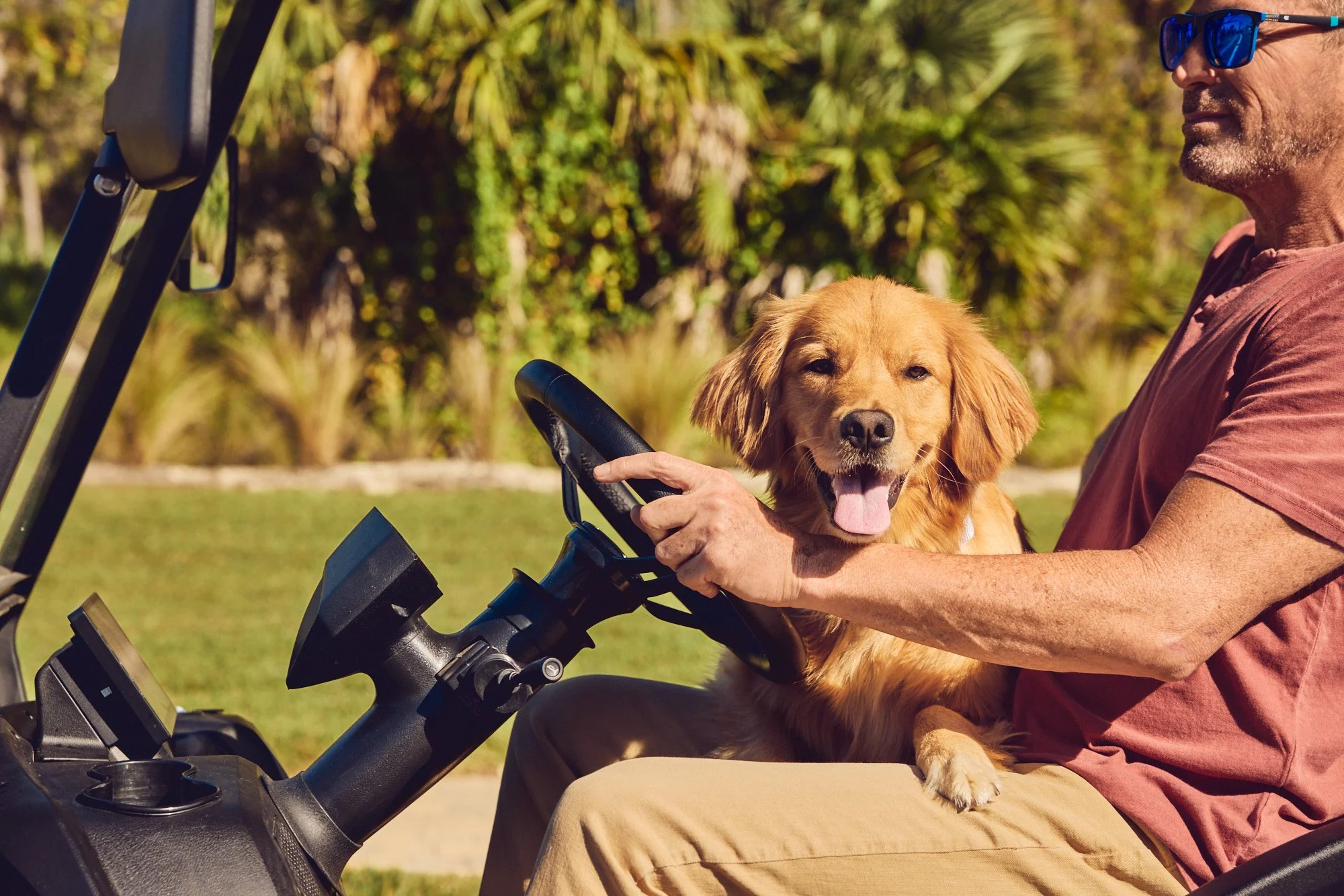 Lifestyle photo - man with dog on golfcart - Del Webb campaign Tampa FL