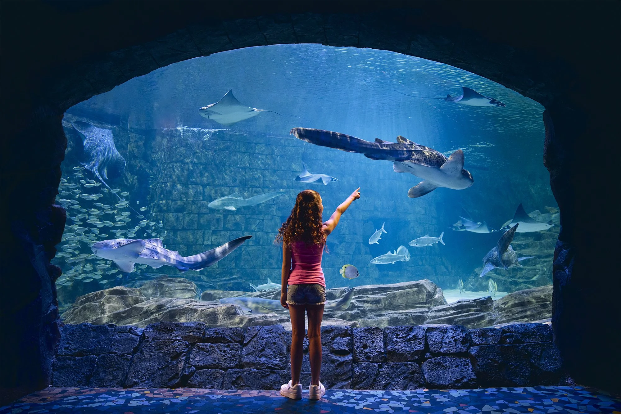 Girl pointing at sharks and rays inside an aquarium exhibit tunnel
