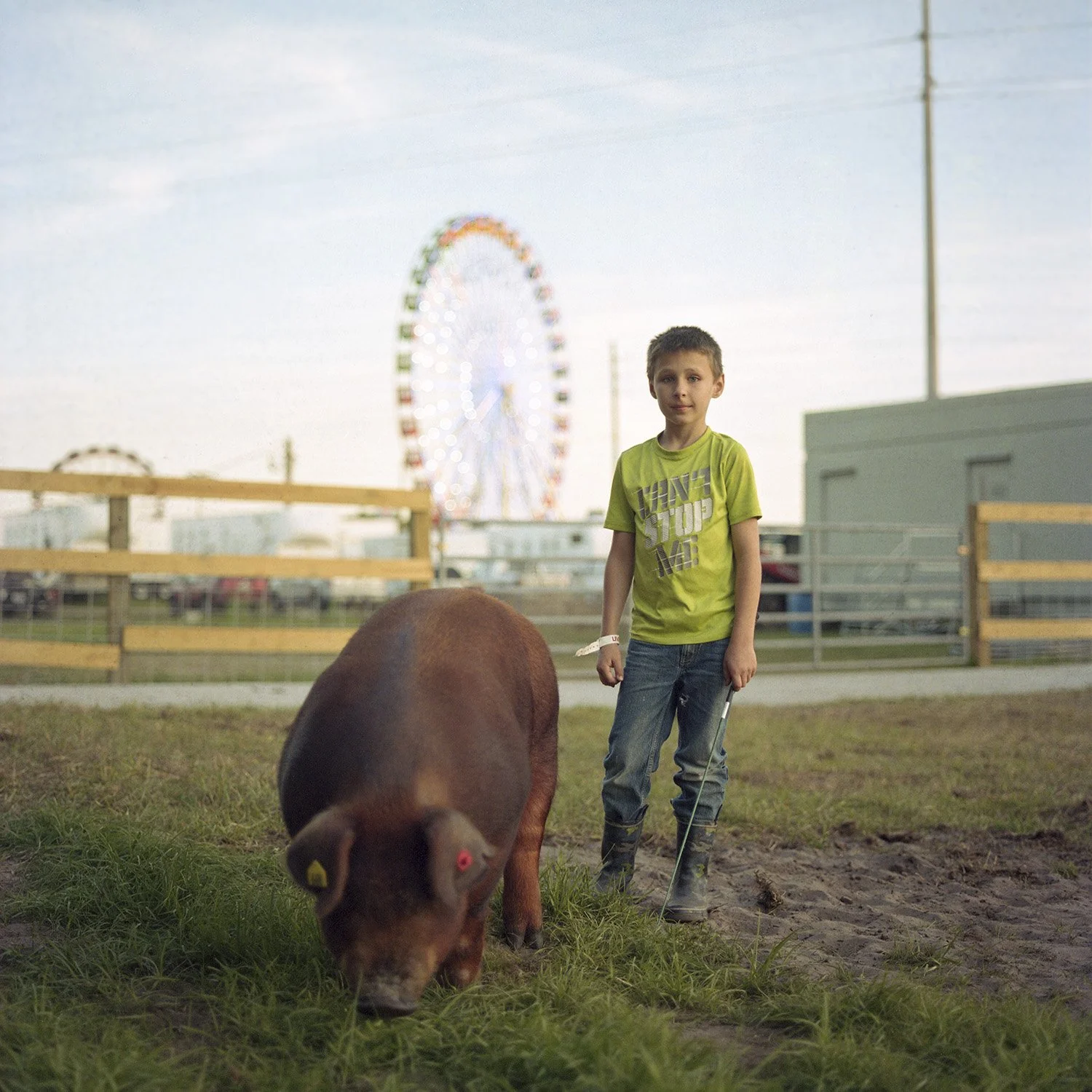 photograph of boy with show pig at carnival