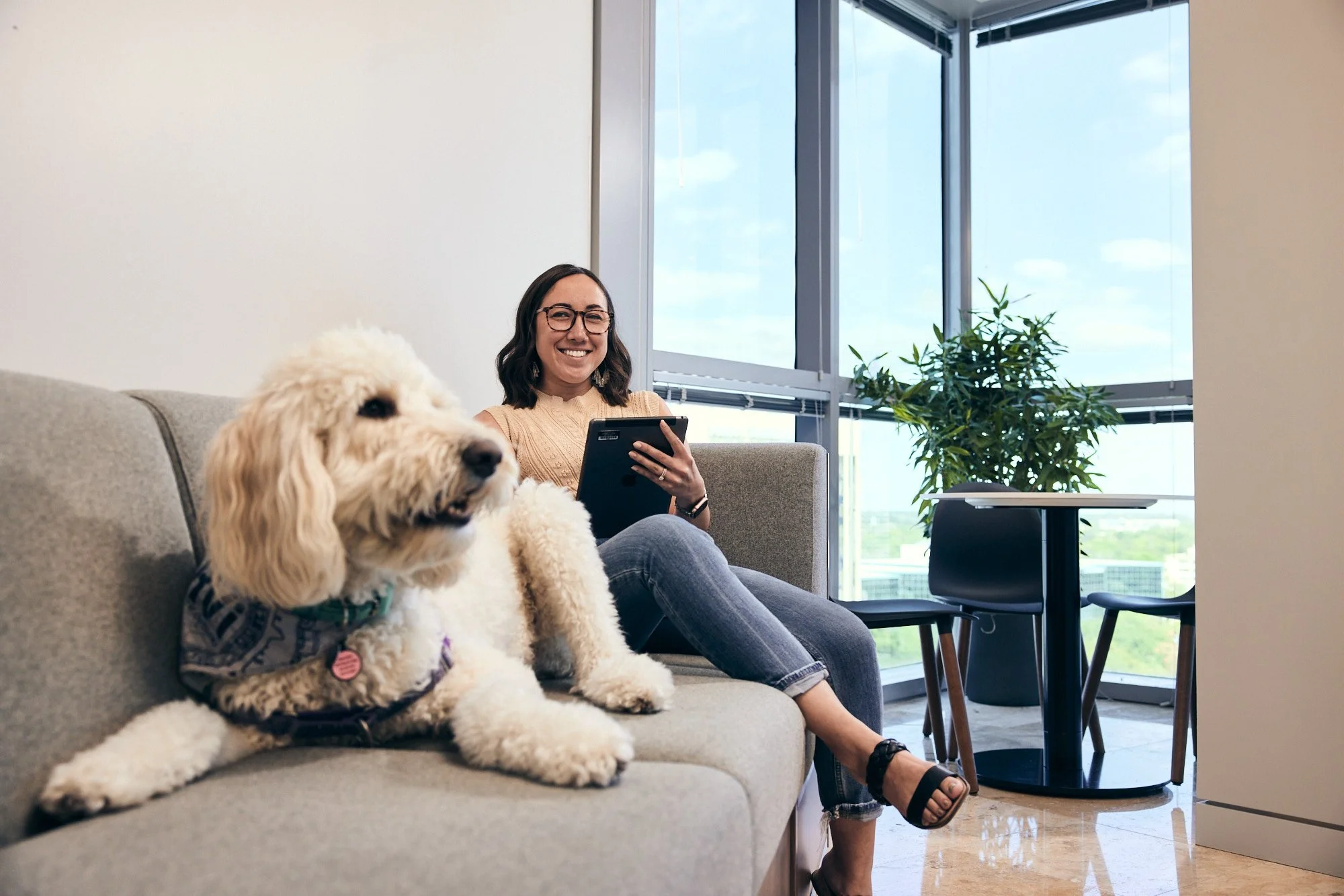 photograph of woman and dog on couch in office