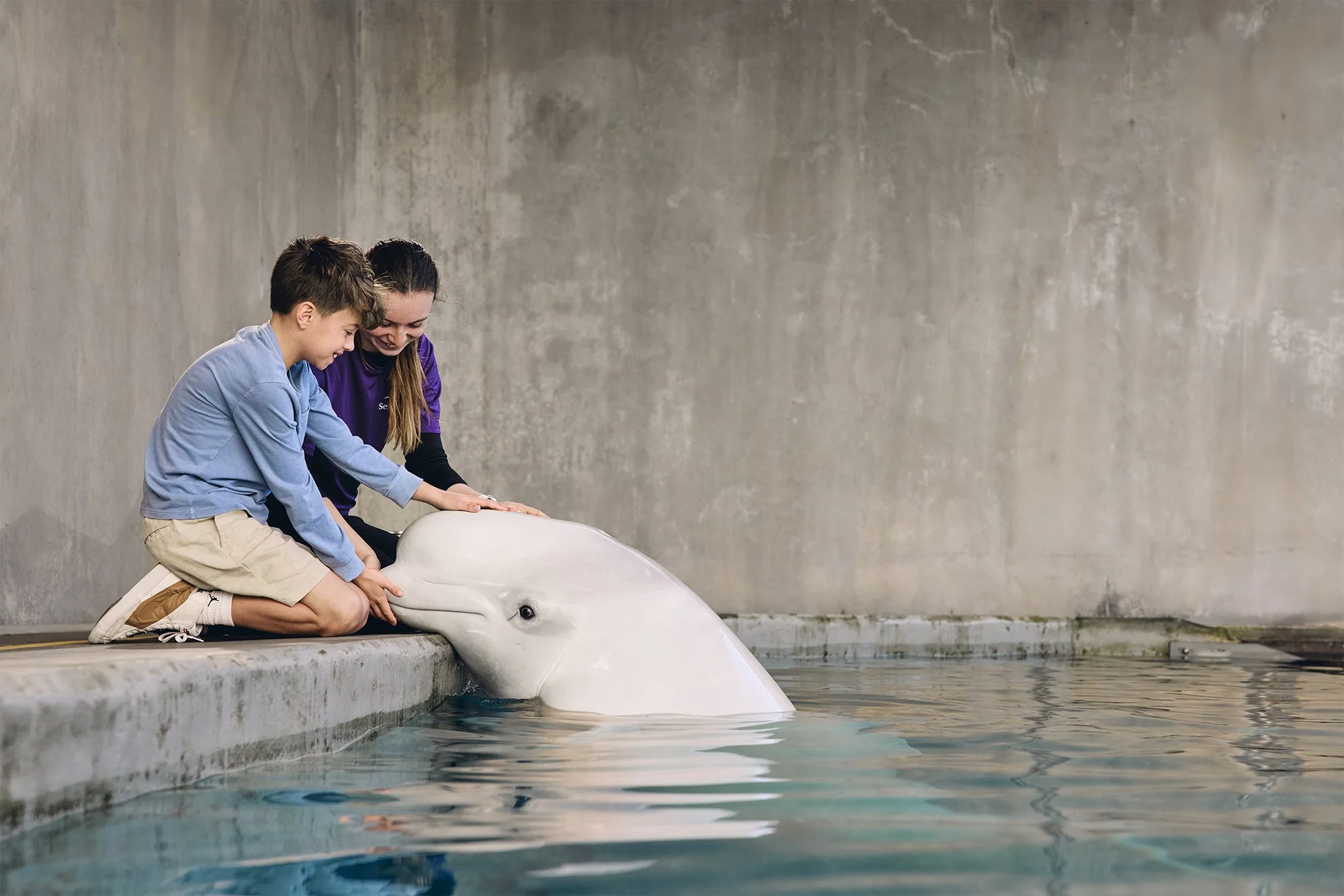 Commercial photography, a boy and girl at a pool edge reaching out to touch a beluga whale