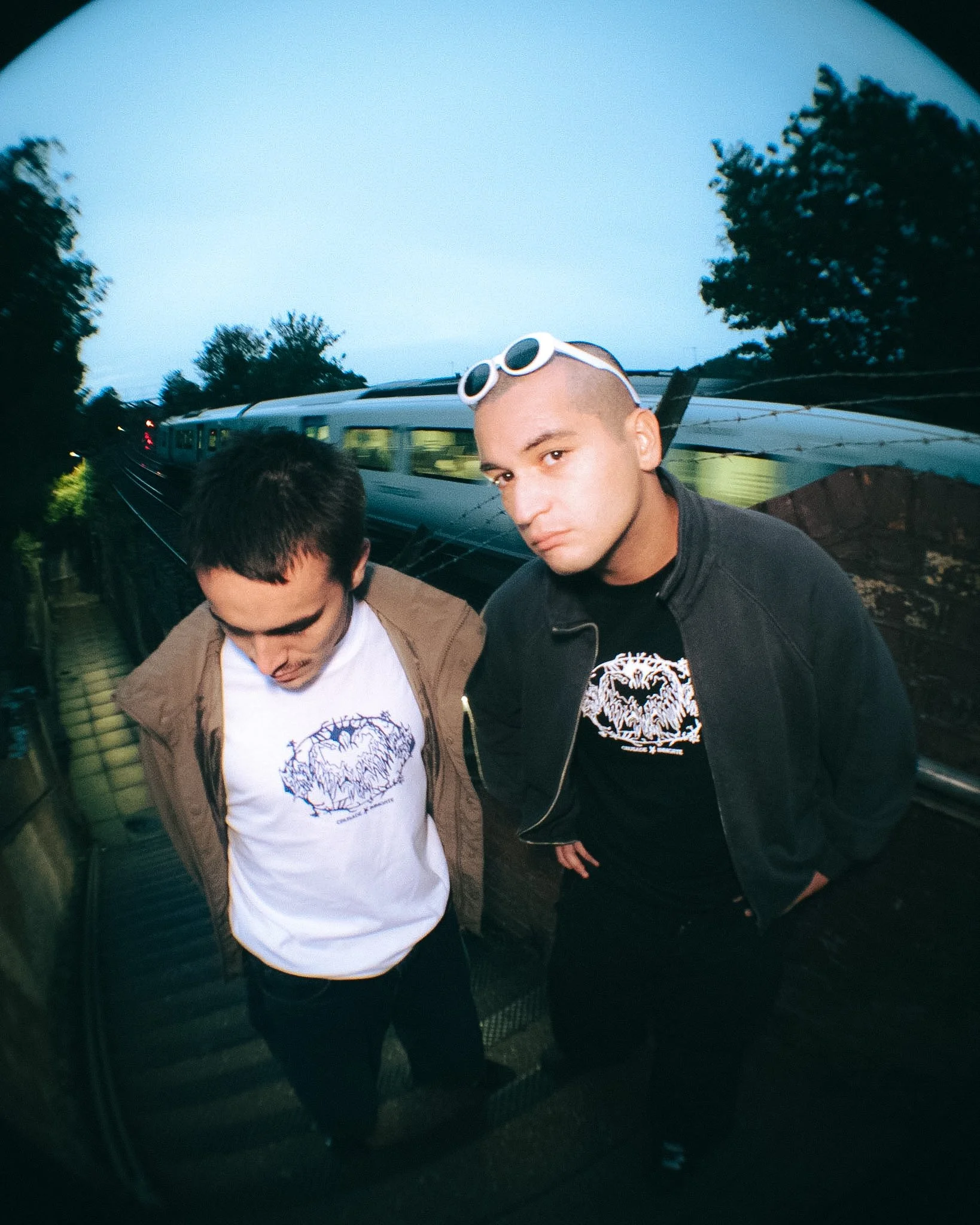 _1410767.jpg