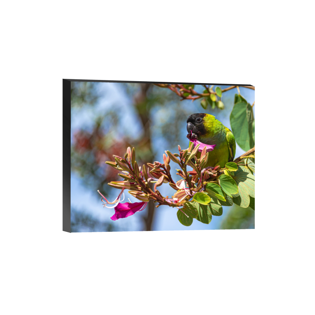 standout_rectangle4_5_345_0_3488_2791_0.png