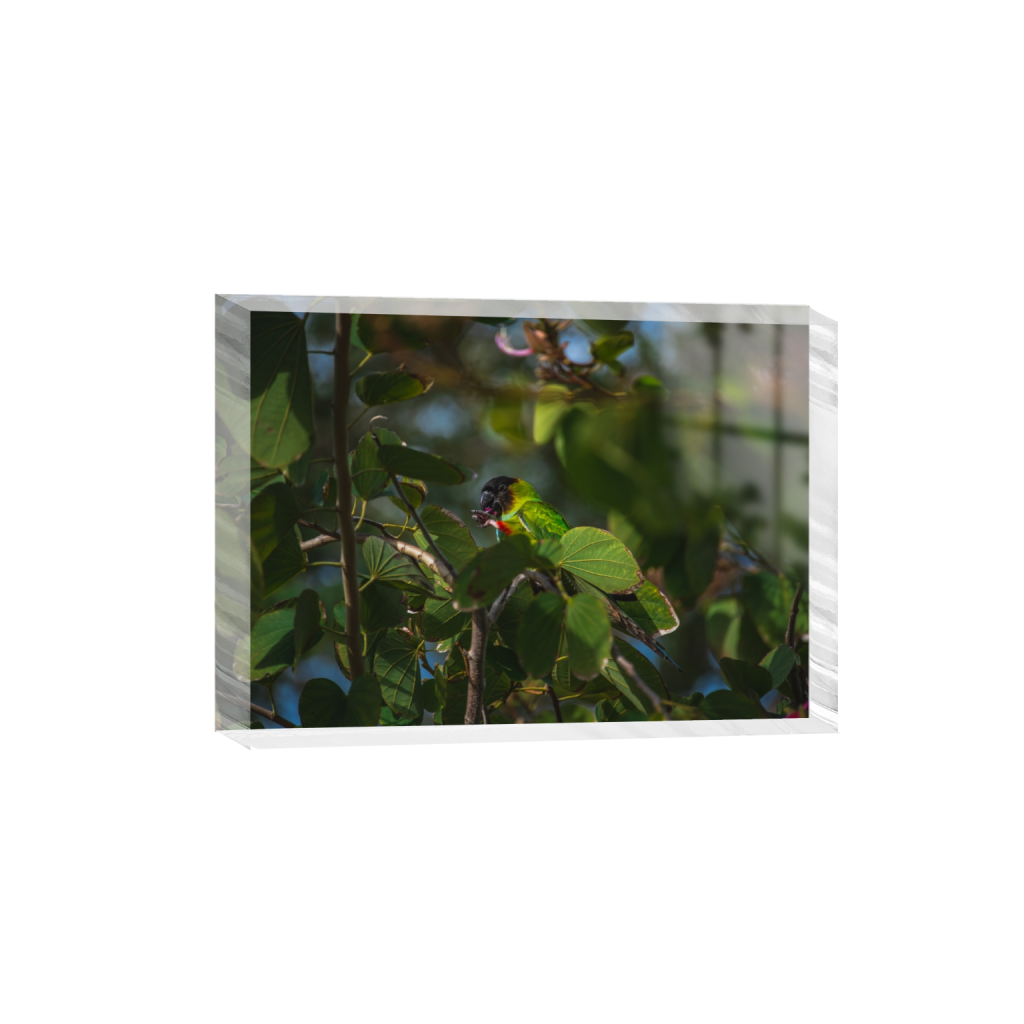 acrylicdesktopprint_rectangle5_7_196_0_5622_4016_0.png