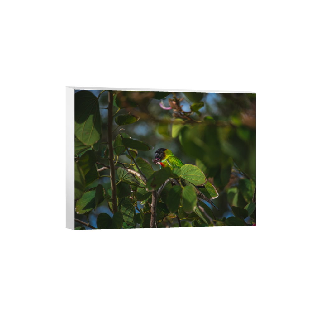 canvas_rectangle3_4_330_0_5354_4016_0.png