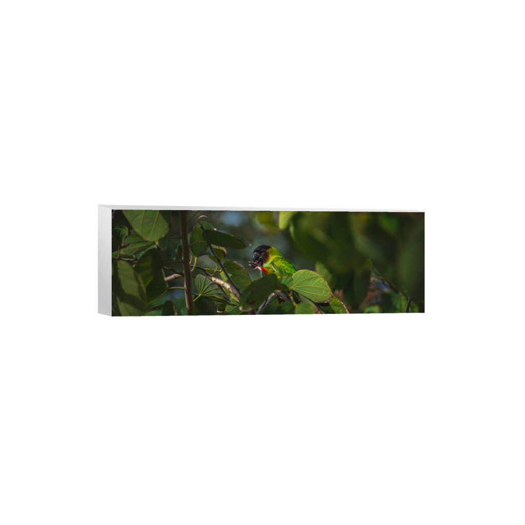 canvas_rectangle1_3_0_1005_6016_2005_0.png