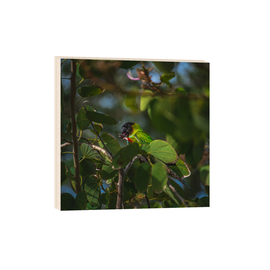 woodprint_square_1000_0_4016_4016_0.png